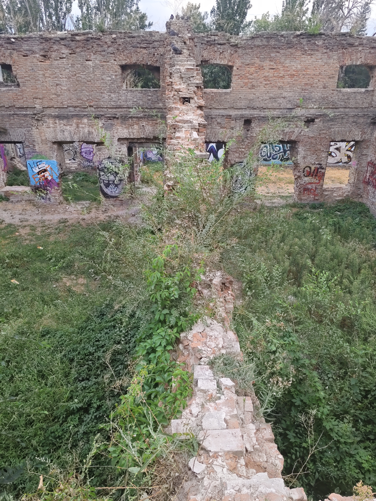 The image depicts the ruins of a brick building, likely an abandoned factory or industrial structure, in Rostov-on-Don, Russia. The building is heavily damaged, with crumbling brick walls, missing sections, and overgrown vegetation. The interior appears to be open to the sky, with large windows and doorways revealing the lush greenery within. The walls are covered in graffiti, adding a layer of urban decay to the scene. The ground is a mix of dirt, grass, and weeds, with more dense vegetation growing in the open spaces. The overall impression is one of neglect and the passage of time, where nature is reclaiming the man-made structure.