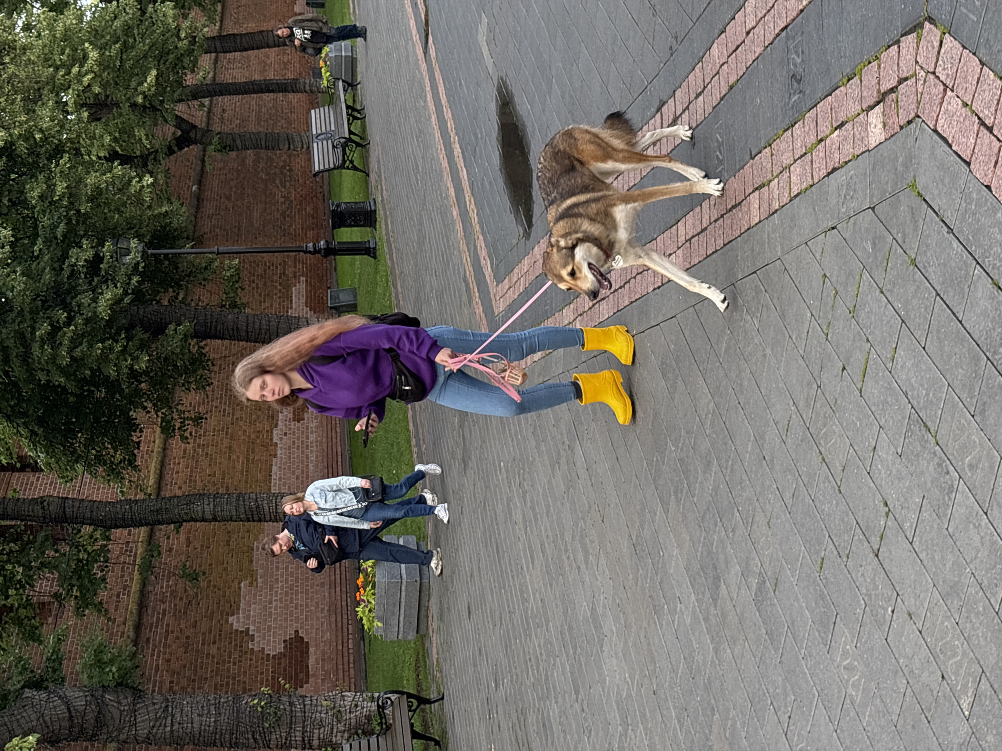 The image shows a young woman walking a dog on a paved walkway in Nizhny Novgorod, Russia. The woman is wearing a purple hoodie, blue jeans, and bright yellow rain boots. She is holding a pink leash attached to the dog, which appears to be a medium-sized mixed breed with brown and white fur. The dog is looking to the right and appears to be panting. In the background, there is a brick wall, several trees, and benches. Two other people are walking in the background, and another person is standing near a bench. The walkway is made of grey paving stones with reddish-brown accents. There are also some planters with flowers and a trash can visible. The overall scene suggests a casual outdoor setting, possibly a park or a pedestrian area.