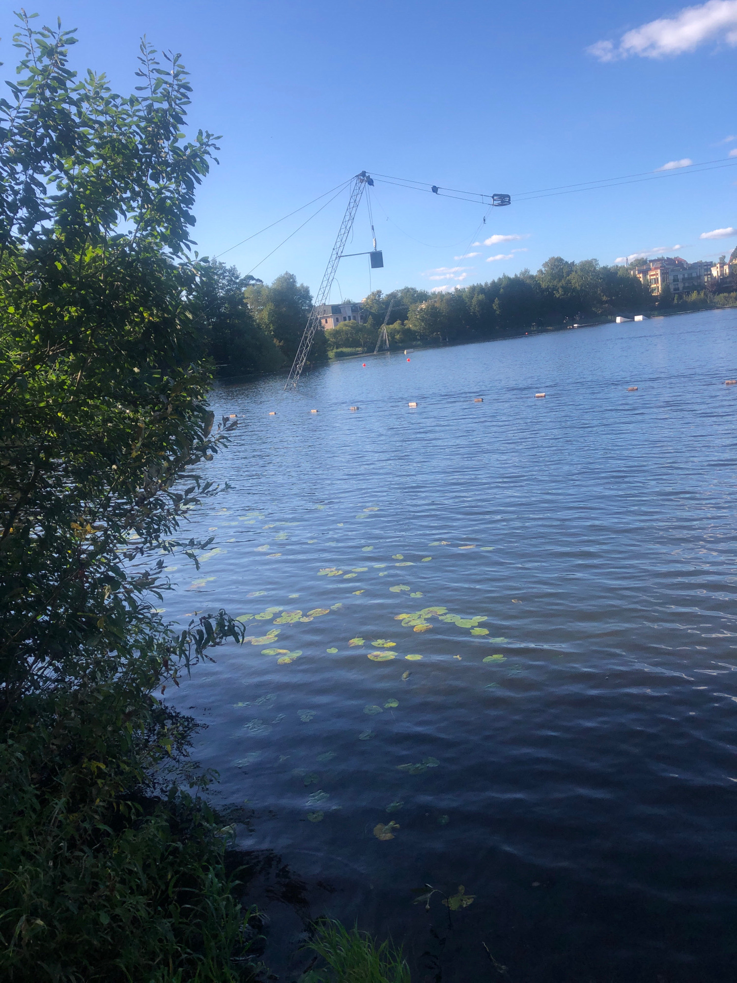 The image shows a wide body of calm water, likely a river or lake, under a clear blue sky with a few scattered white clouds. On the left side of the frame, a lush green tree with dense foliage partially obscures the view. The water's surface is rippled, and scattered lily pads dot the expanse.
In the background, across the water, is a tree-lined shore with buildings visible behind the trees. A prominent structure is a tall, metal frame, resembling a pylon or tower, leaning into the water. Wires extend from this structure, suggesting a cable system, possibly for water sports like wakeboarding. Several buoys or markers are also visible in the water, forming a line.
The scene appears to be a recreational area, likely a park or watersports facility. Based on the architectural style of the buildings in the background, which are multi-story residential buildings with mansard roofs and balconies, this location is consistent with the suburbs of Saint Petersburg, Russia, specifically areas like the Gulf of Finland coastline or riverside districts that feature such development. The presence of the cable system further reinforces the idea of a dedicated watersports venue. The overall atmosphere is serene and bright, suggesting a sunny day.