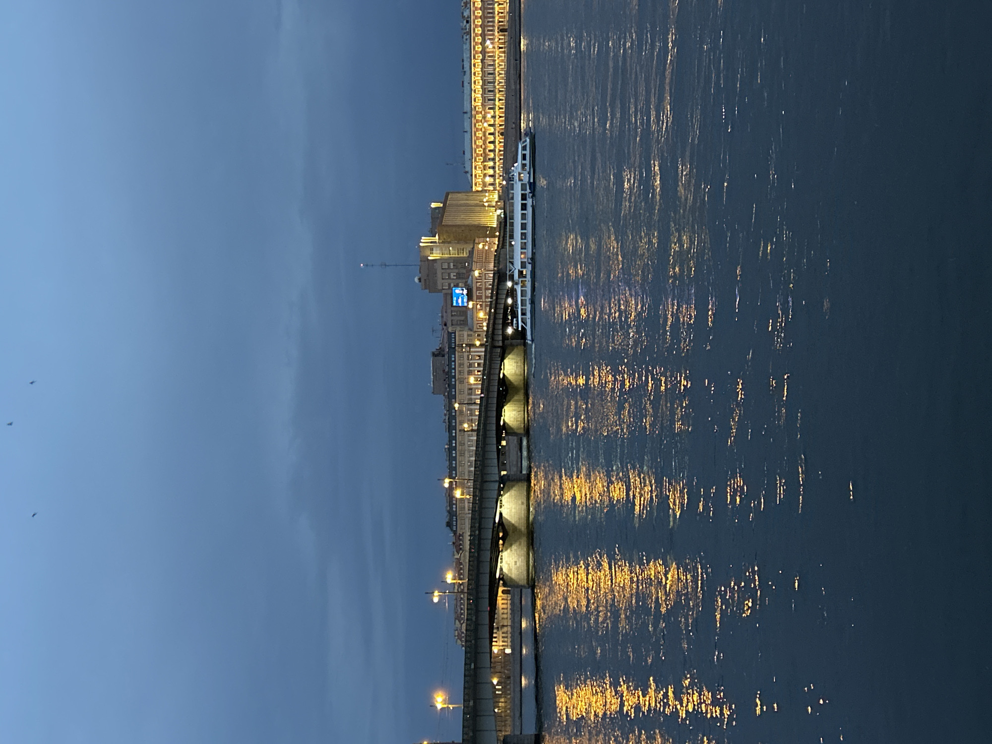 A wide shot captures a river and a city skyline at dusk. The water in the foreground is dark blue with reflections of yellow lights from the city. A white passenger boat is visible in the middle ground, moving from right to left. A bridge spans the river in the background, with lights illuminating its underside. The city skyline features several buildings, with lights visible in many windows. The sky is a deep blue with some clouds, and a few birds are silhouetted against it.