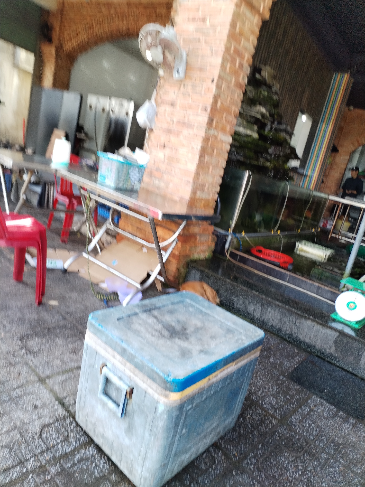 In Bac Nha Trang Ward, Vietnam, this image depicts an outdoor scene that appears to be a food stall or market area. In the foreground, a large, weathered blue and grey cooler box with a yellow and blue trim sits on a tiled surface, which is wet, suggesting recent rain or cleaning. To the left of the cooler is a red plastic chair. Behind the chair, a long stainless steel table is visible, laden with various items including a blue plastic basket containing what looks like produce or packaging, and several white bottles. Red plastic chairs are also placed under the table.
The background reveals more of the establishment, featuring brick archways and pillars. A wall-mounted electric fan is attached to one of the brick pillars. To the right, there's a large aquarium or tank with a black frame, containing what seems to be a rock and plant formation. Several yellow tubes with small valves are connected to the tank, likely for aeration or filtration. A red object, possibly a pump or container, is submerged in the tank. Further to the right, a person in dark clothing stands, partially obscured by the tank's frame. Another area appears to have stacked shelving units with multi-colored stripes. The overall impression is a functional, somewhat cluttered outdoor commercial space.