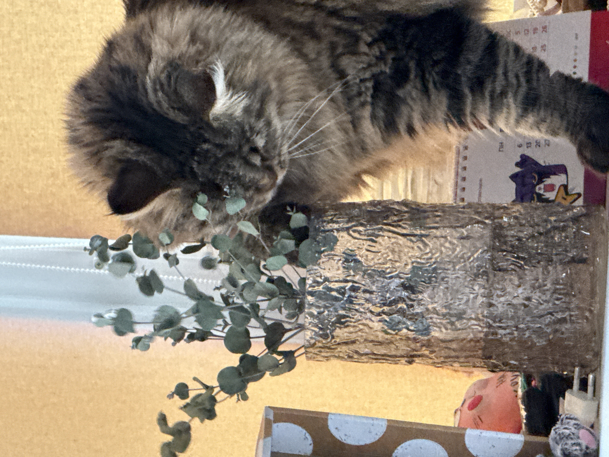 A medium-haired brown tabby cat with white whiskers stands on a rectangular, metallic-textured vase containing sprigs of eucalyptus. Behind the vase, a calendar is visible. A box with white polka dots on a brown background is visible beneath the vase. The environment appears to be indoors. There is no evidence to confirm this image was taken in Izhevsk, Russia.