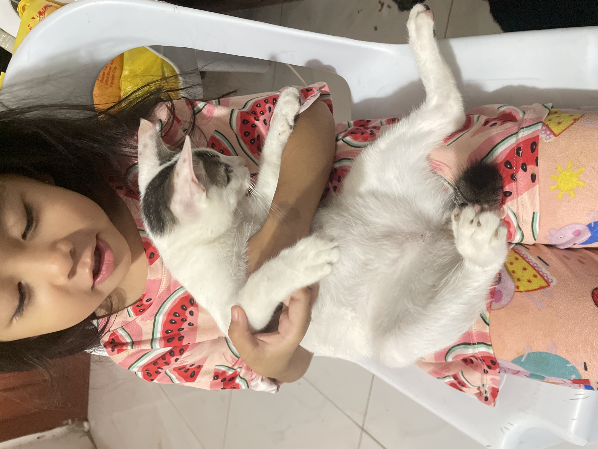 A young Filipina girl, with dark hair and eyes, is seated on a white plastic chair, holding a black and white kitten. She is wearing a pink t-shirt with a watermelon print and patterned pajama pants. The background consists of a tiled floor and a blurred red wall. Yellow and orange plastic bags are visible behind the girl on the chair. The scene appears to be indoors, possibly in a residential setting in Davao City, Philippines.