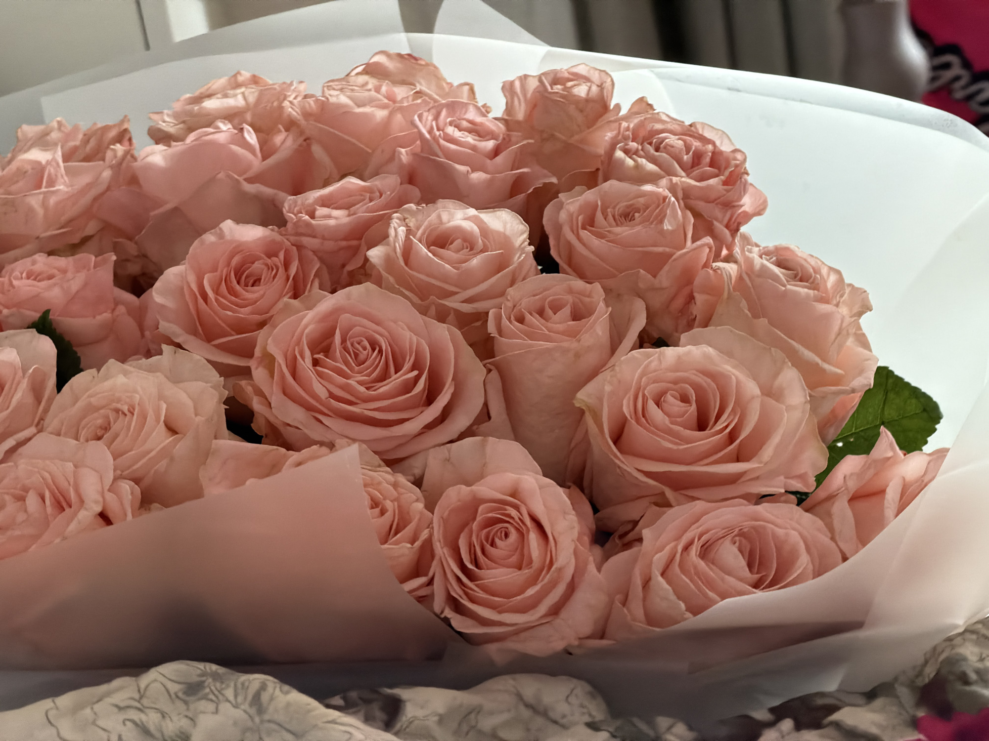 The image displays a large, fresh bouquet of light pink roses, likely captured indoors in Moscow, Russia. The bouquet consists of numerous roses, predominantly in a soft, blush-pink hue, ranging from tightly closed buds to partially unfurled blooms. Their petals show delicate, spiraling patterns, contributing to a gentle and romantic aesthetic.
The roses are arranged within two layers of wrapping. An inner layer of opaque, soft pink paper or film closely holds the flowers, while an outer layer of translucent white paper gracefully encloses the entire arrangement, adding volume and a soft visual texture. Occasional vibrant green leaves are visible peeking through the petals and wrapping, providing a natural accent.
The background is softly blurred, suggesting a shallow depth of field. On the upper left, a plain, light-colored surface is indistinctly visible, possibly a wall or furniture. To the upper right, out-of-focus shapes include a dark pink object and a lighter, possibly cream-colored item, which are not clearly identifiable. The bouquet rests on a textured surface in the foreground, characterized by a grey and white patterned fabric, likely a blanket or tablecloth.
No specific activity is depicted, but the presentation of the bouquet implies it is a gift, decoration, or part of a celebration. The lighting is soft and even, consistent with indoor illumination, making the precise time of day undeterminable. There is no visible text present anywhere in the image.