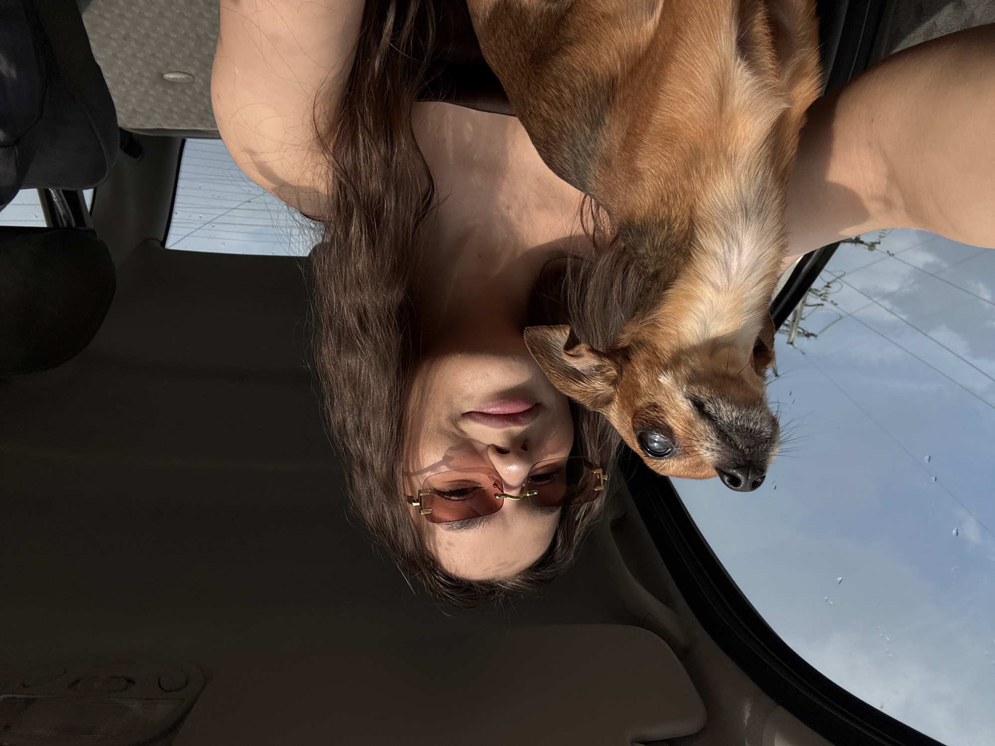 A young woman with long, dark brown hair and pink, rimless sunglasses is in the driver's seat of a car, holding a small, brown chihuahua. The dog is looking up and to the left. The woman is smiling at the camera. The interior of the car is visible, including the dashboard and the ceiling. The exterior of the car is seen through the windows, with a cloudy sky and utility poles visible in the distance. The image was taken in Chaikovsky, Russia, on a cloudy day.