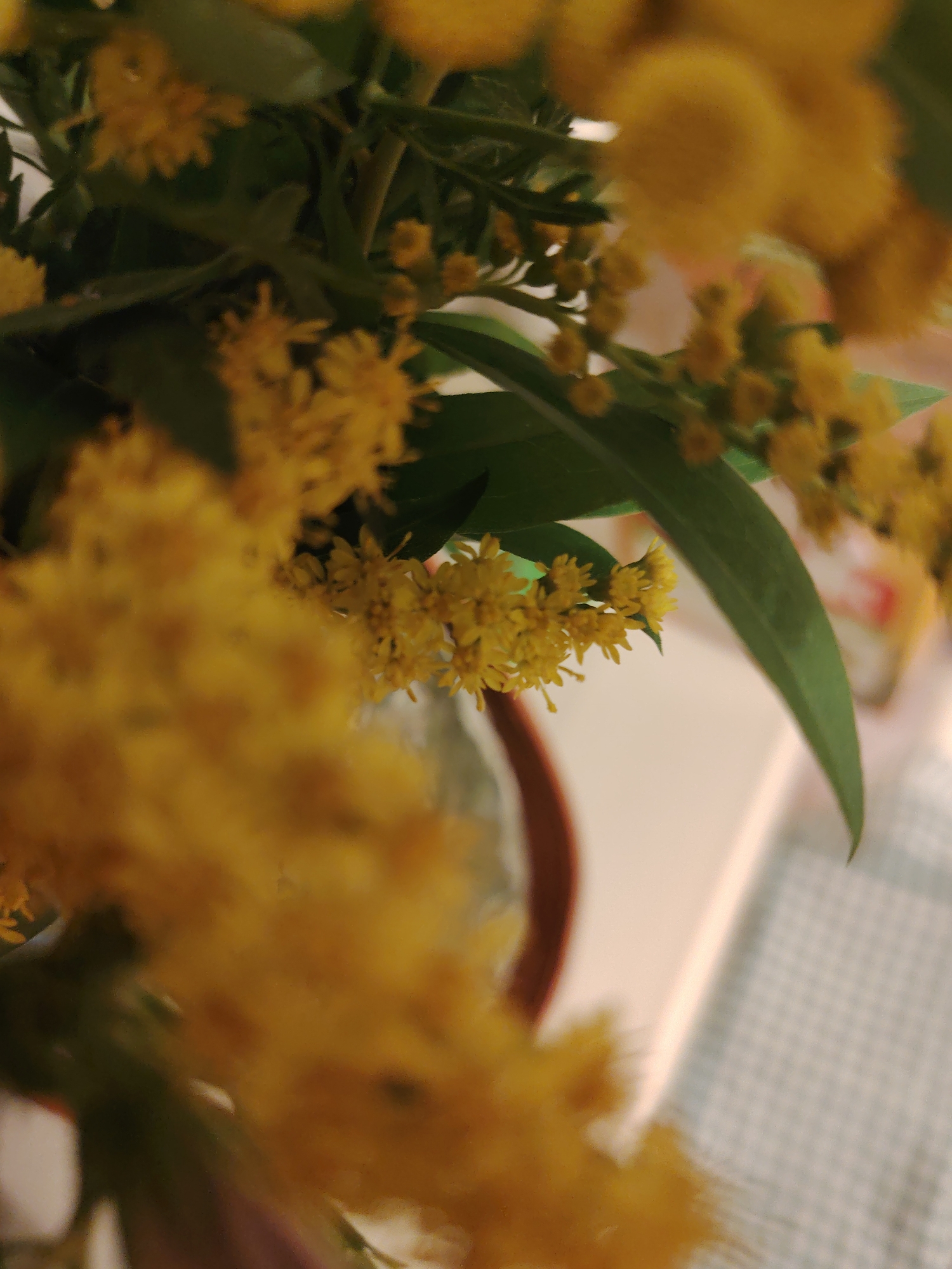 The image shows a close-up, blurred view of yellow flowers and green leaves, likely a floral arrangement. The flowers are small and clustered together, with a fuzzy texture. The leaves are long and slender. The background is out of focus, but appears to be a light-colored surface, possibly a table or countertop, with a faint checkered pattern visible on the right side. The lighting is soft and warm. There are no people or specific landmarks visible that would indicate a location within Konakovo, Russia.