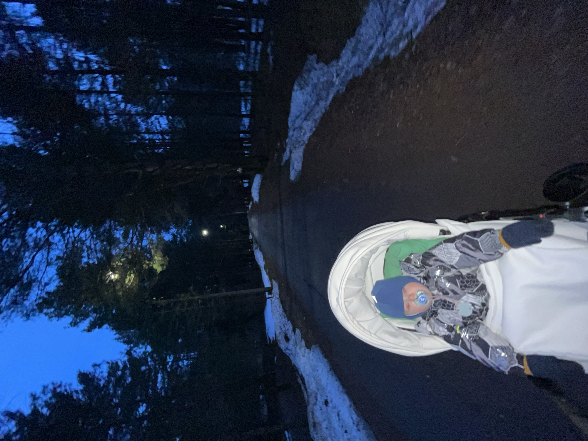 The image shows a baby in a stroller on a dark path. Snow lines the edge of the path on the right. Trees are visible on the left side, with a blueish sky partially visible through the branches. A light fixture is visible further down the path.
There is no way to know the precise location of this scene in Chaikovsky, Russia without additional information.