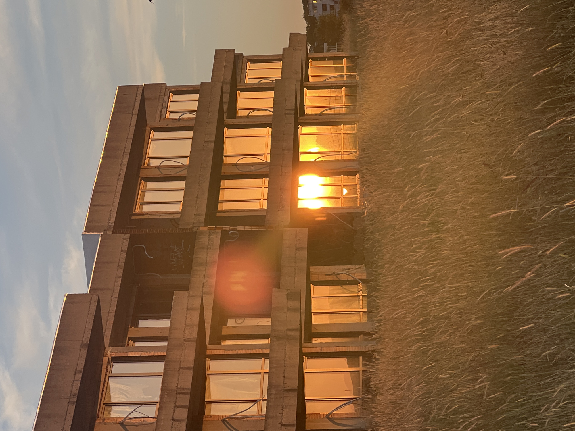 The image depicts a concrete building under construction, with its windows reflecting the warm golden hues of a sunset. The building is situated in a natural setting, with tall, dry grasses in the foreground, suggesting an outdoor location. The sky above is a soft blue with a few wispy clouds, indicating the time of day is late afternoon or early evening. The building's raw, unfinished state, combined with the serene natural backdrop and the dramatic sunset lighting, creates a unique and somewhat stark visual. The scene is devoid of people. The location is identified as Sinemorets, Bulgaria.