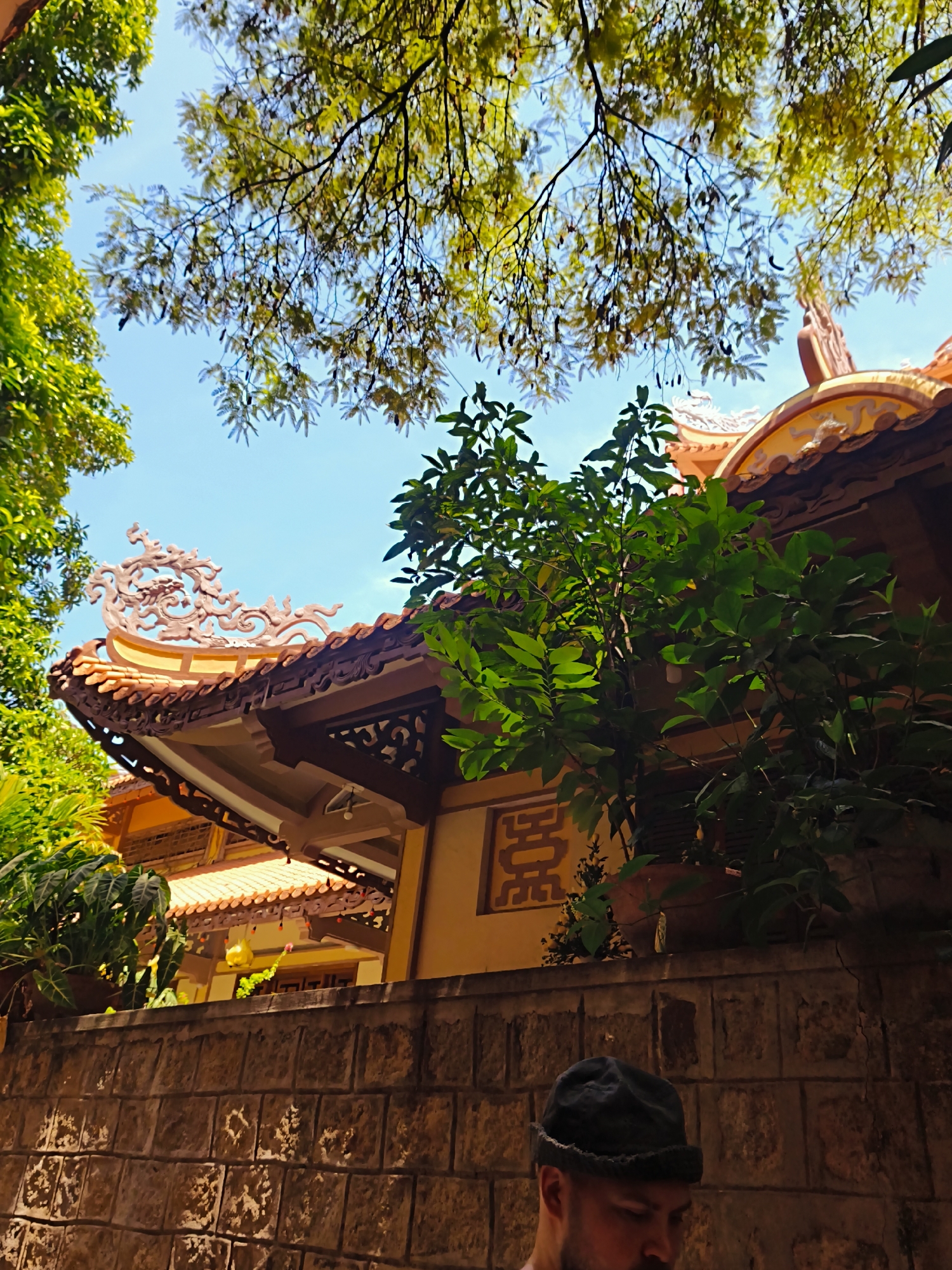 A medium shot shows the ornate tiled roof of a building in Nha Trang Ward, Vietnam, partially obscured by the branches of a lush green tree against a clear blue sky. The roof features detailed carvings and decorative elements. In the foreground, a stone wall runs horizontally across the bottom of the frame, and a person wearing a dark beanie is visible from the shoulders up, looking down and to the right.