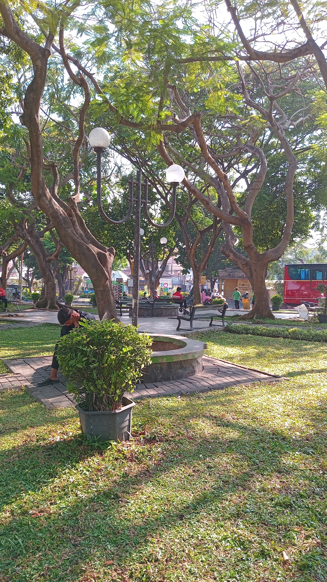 The image depicts a park scene in Randuagung, Indonesia, bathed in dappled sunlight filtering through large trees. In the foreground, a young person is seated on a stone border, looking down with their arm covering their face, partially obscured by a potted green bush. To the right, a circular stone structure, possibly a well or planter, is visible. Beyond this, a paved area features several empty park benches. In the middle ground, various individuals are scattered around, some sitting on benches and others standing. Further in the background, a red bus is parked near a building. The park is characterized by its mature trees with gnarled branches and a well-maintained grassy lawn. The lighting suggests it is daytime, likely morning or late afternoon.