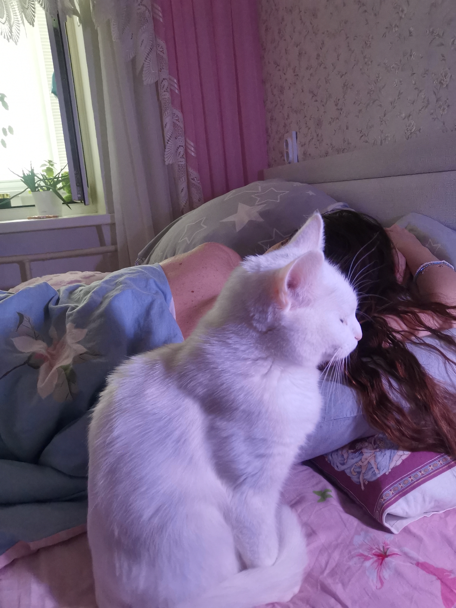 A white cat sits upright near the head of a woman with long brown hair lying in a bed. The bedding includes floral-patterned sheets and pillows with images of angels. The room has a window with curtains and a potted plant on the windowsill, and the wallpaper has a floral pattern. The location is Chaikovsky, Russia.