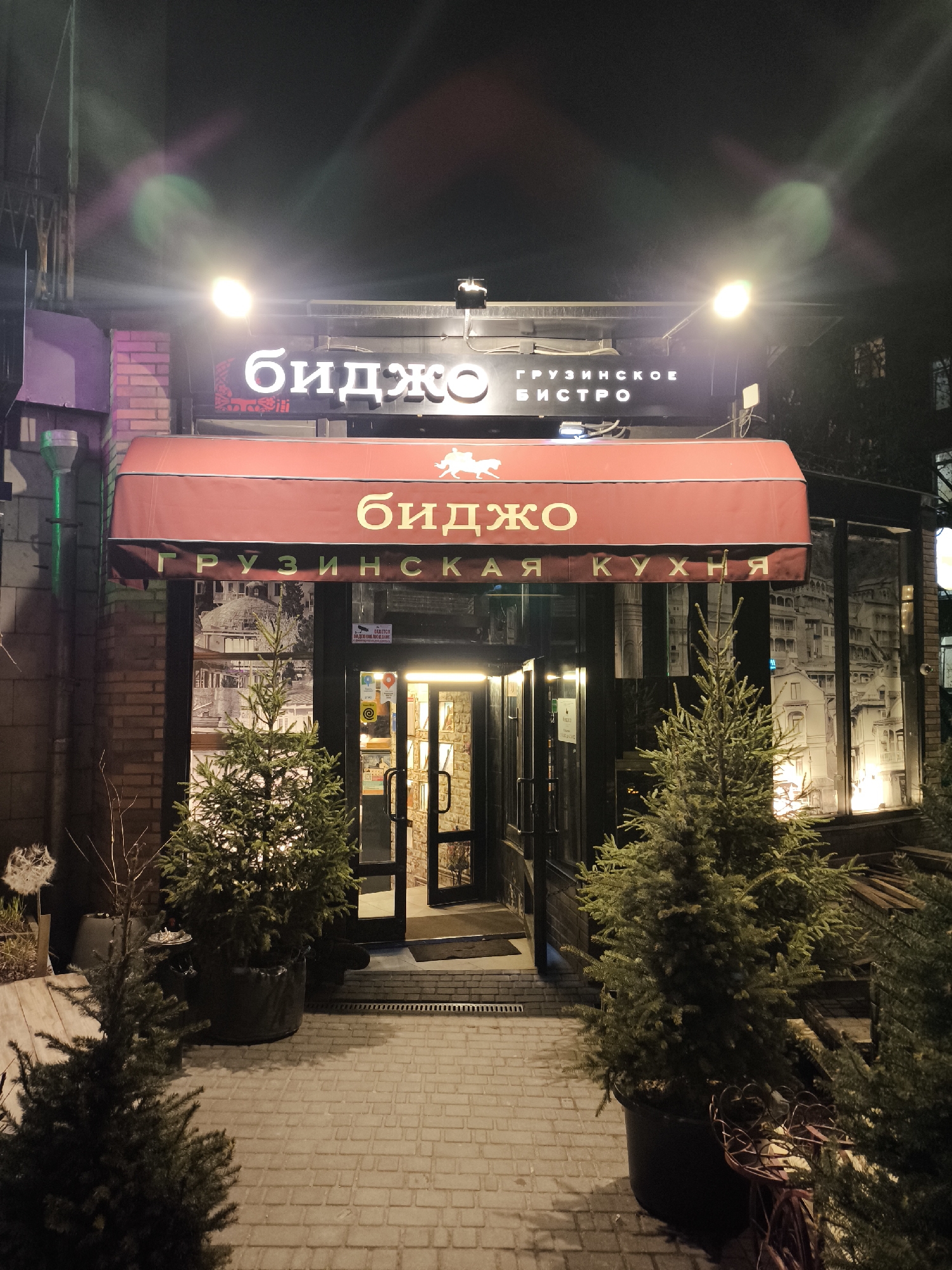 The image depicts the exterior of a restaurant called "Bidjo" in Moscow, Russia. The restaurant's name is displayed in Cyrillic script on a sign above the entrance, with the words "грузинское бистро" (Georgian Bistro) below. A red awning covers the entrance, with a lion-like symbol on it. The entrance is framed by glass panels featuring a black and white image of a city. Small evergreen trees in pots are positioned on either side of the entrance. The ground is paved with rectangular stones. The scene is illuminated by several overhead lights, and it appears to be nighttime.