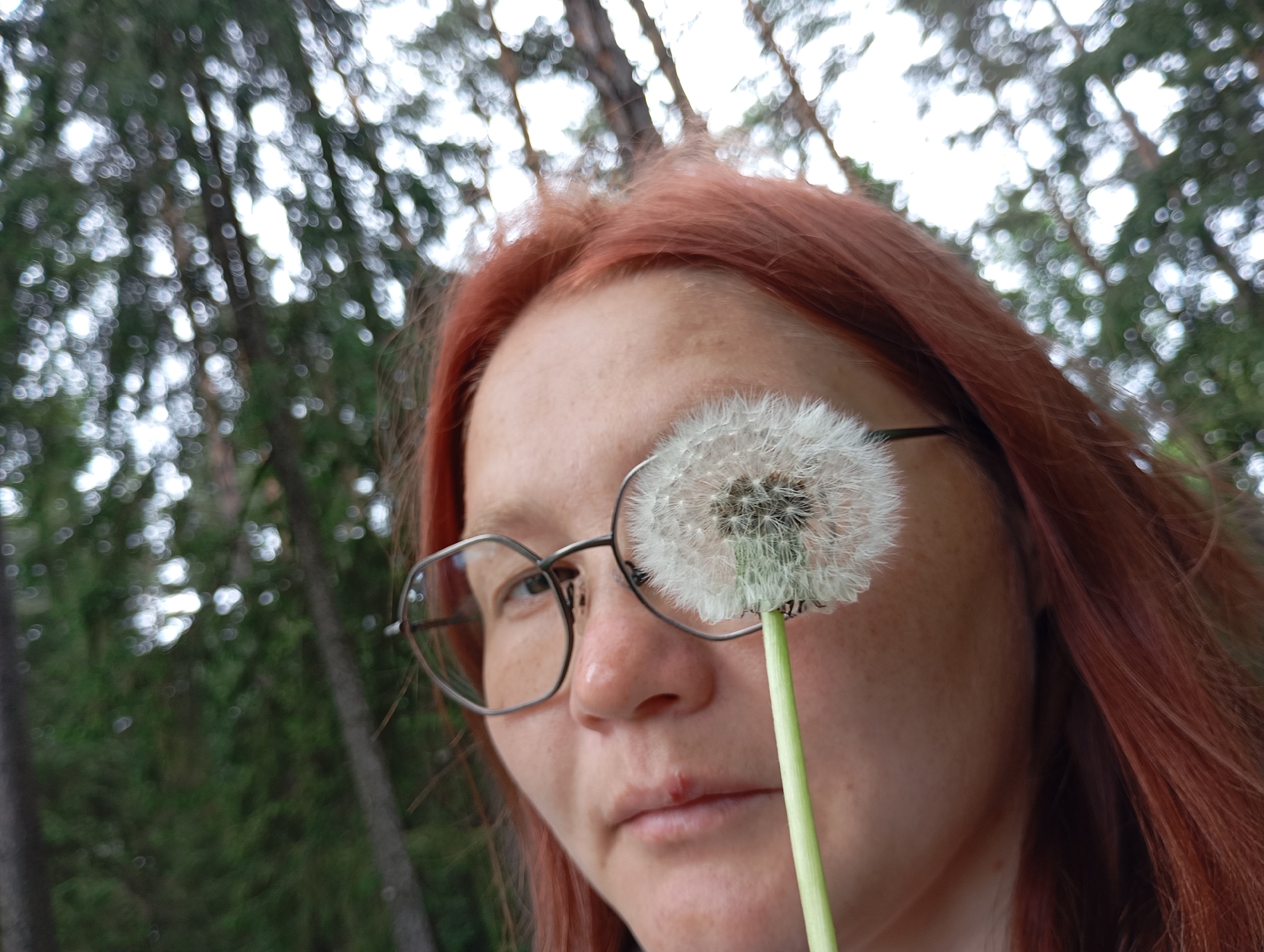 A close-up, eye-level portrait features a person holding a dandelion against their face in an outdoor setting in Chaikovsky, Russia. The individual, appearing to be a woman with reddish-brown hair, is wearing thin-framed glasses. Her face is in focus, displaying fair skin with visible freckles, and a small blemish on her lower lip. Her left eye (viewer's right) is visible through her glasses, while her right eye (viewer's left) is obscured by a fluffy white dandelion seed head, which she holds by its green stem. The dandelion is centrally positioned in front of her right eye.
The background is heavily blurred, creating a bokeh effect with numerous soft, circular highlights, suggesting dappled sunlight filtering through tree leaves and branches. These blurred elements indicate a forest or park environment, consistent with the presence of trees and foliage. The overall lighting is soft, suggesting either an overcast day or indirect sunlight. The person's expression is neutral and direct, seemingly looking towards the camera. No text is visible in the image.