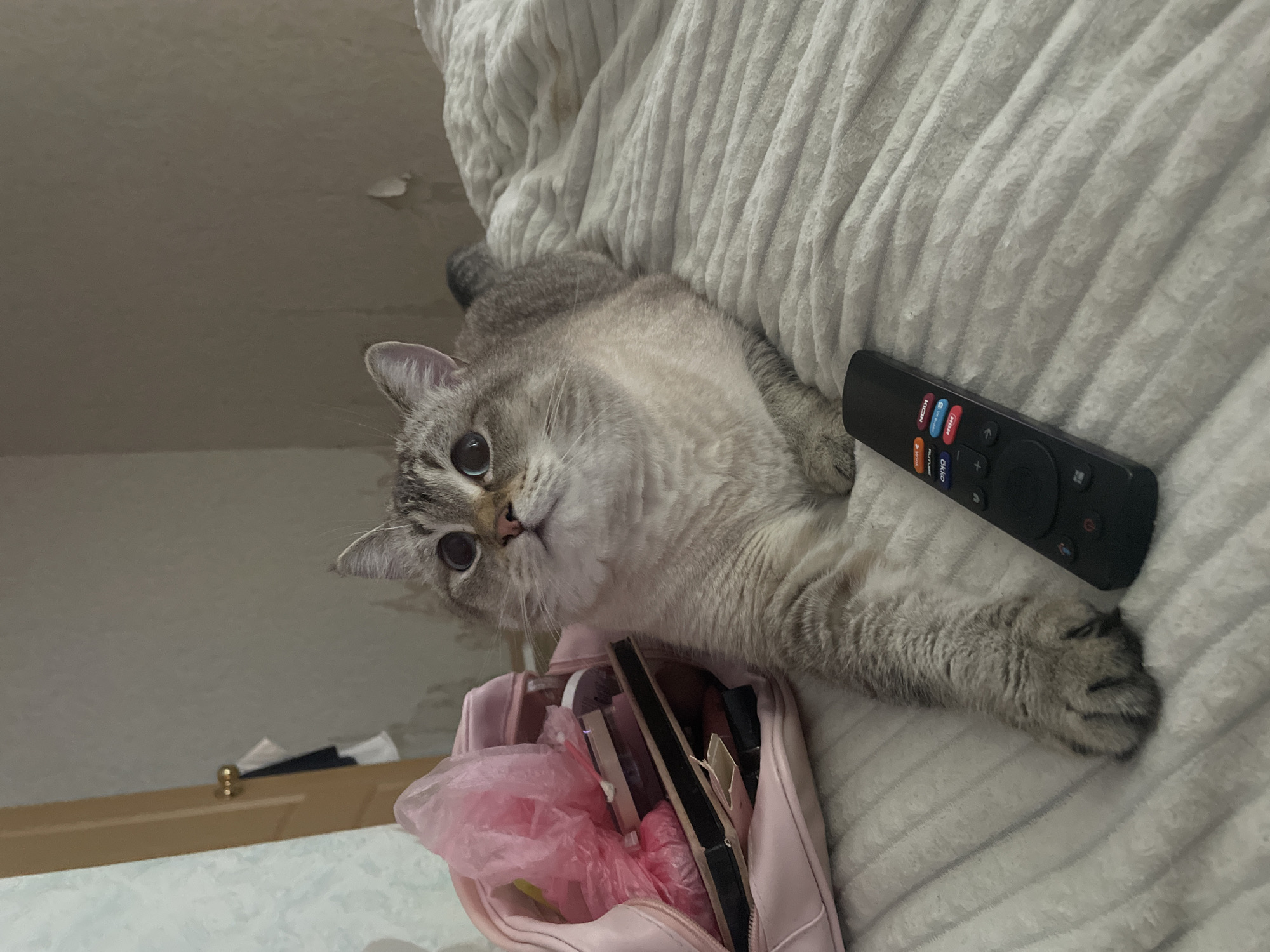 A Siamese cat with wide, round eyes is lying on a white, textured blanket. The cat is facing upwards, with its body angled to the right. To the left of the cat is a pink cosmetic bag, overflowing with items including makeup and what appears to be pink plastic packaging. A black TV remote control rests on the blanket in front of the cat. The background shows a wall with peeling paint and a doorframe. The image is taken indoors, likely in a bedroom. The lighting is dim. There is no information in the image that would allow for the determination of the location in Votkinsk, Russia.