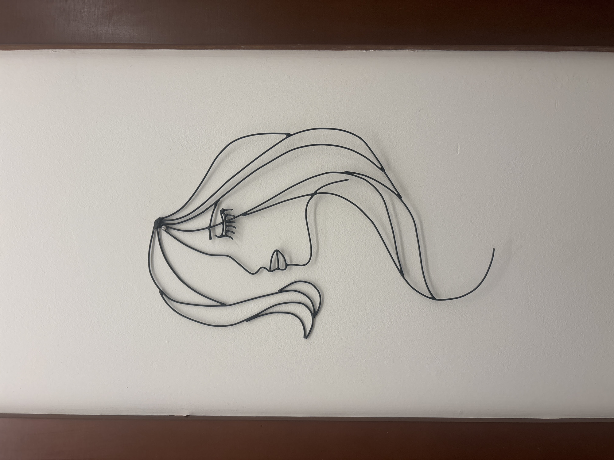 A close-up shot reveals a wire art piece depicting a woman's face in profile. The artwork is affixed to a white wall, which is sandwiched between two dark wooden trim pieces. The details of the woman's face are minimalistic, with a stylized nose, eyelashes, and flowing hair. The environment is a modern interior space, but there is no information in the image to indicate its precise location in Plovdiv, Bulgaria. There are no people, actions, or interactions visible in the image.