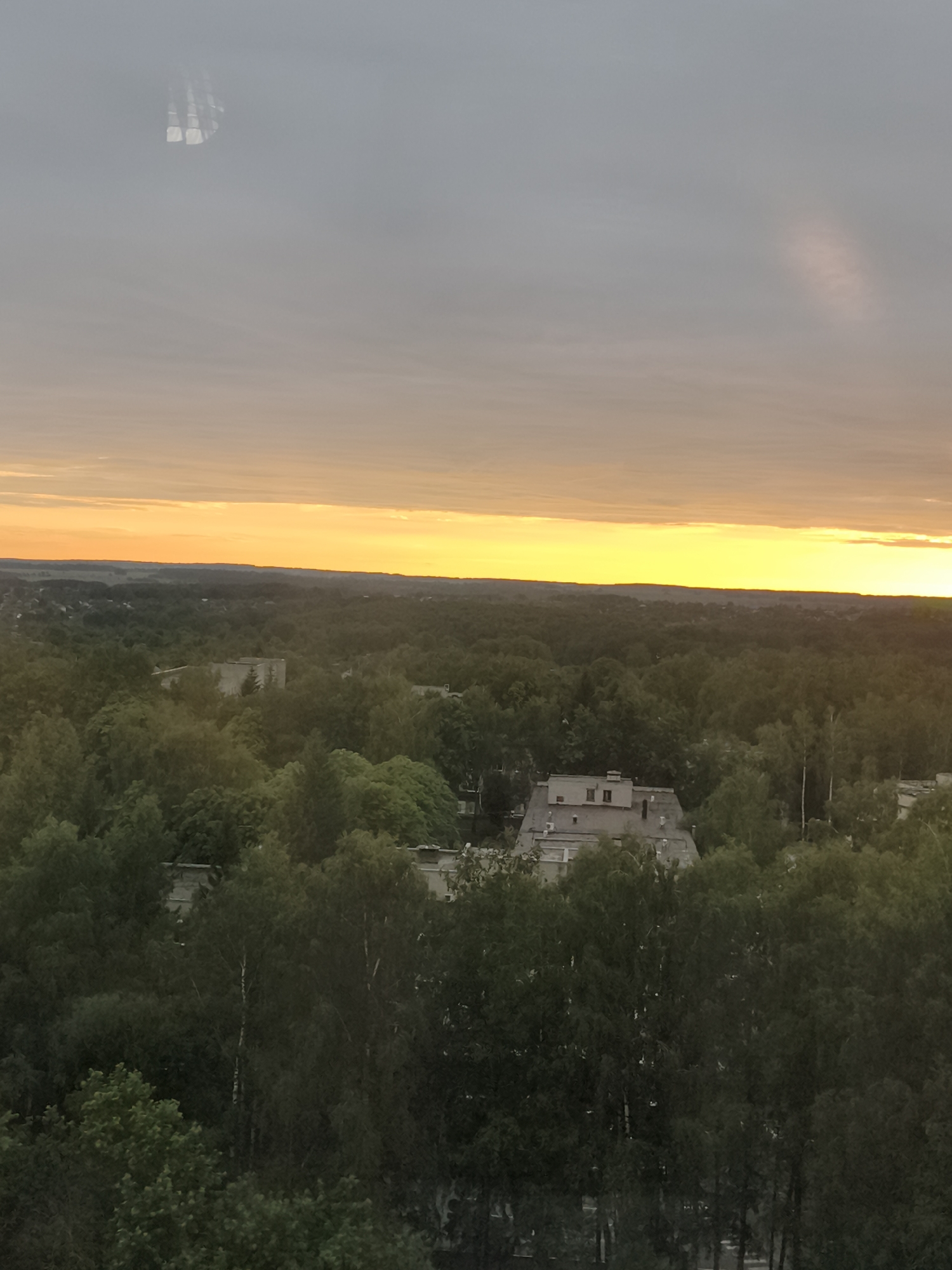The image captures a view of a city landscape in Bryansk, Russia, during a sunset. The sky is filled with warm orange and yellow hues, transitioning into a cooler gray towards the top. Wispy clouds are present, with some appearing as faint vertical streaks and an elongated, soft-edged patch of pinkish light.
Below the sky, a dense expanse of green trees dominates the midground, suggesting a heavily wooded or park-like urban area. Scattered among the trees are buildings. In the middle ground, a light-colored, multi-story building with a flat roof and visible windows is partially obscured by foliage. Further into the distance, a sprawling, dark green treeline stretches towards the horizon, meeting the bright band of the sunset.
The foreground is also densely covered in trees, with the tops of some buildings visible at the very bottom edge of the frame. The overall impression is one of a city with significant green spaces, seen from an elevated perspective as the sun sets. There are no visible people or animals in the image. The scene appears calm and serene.