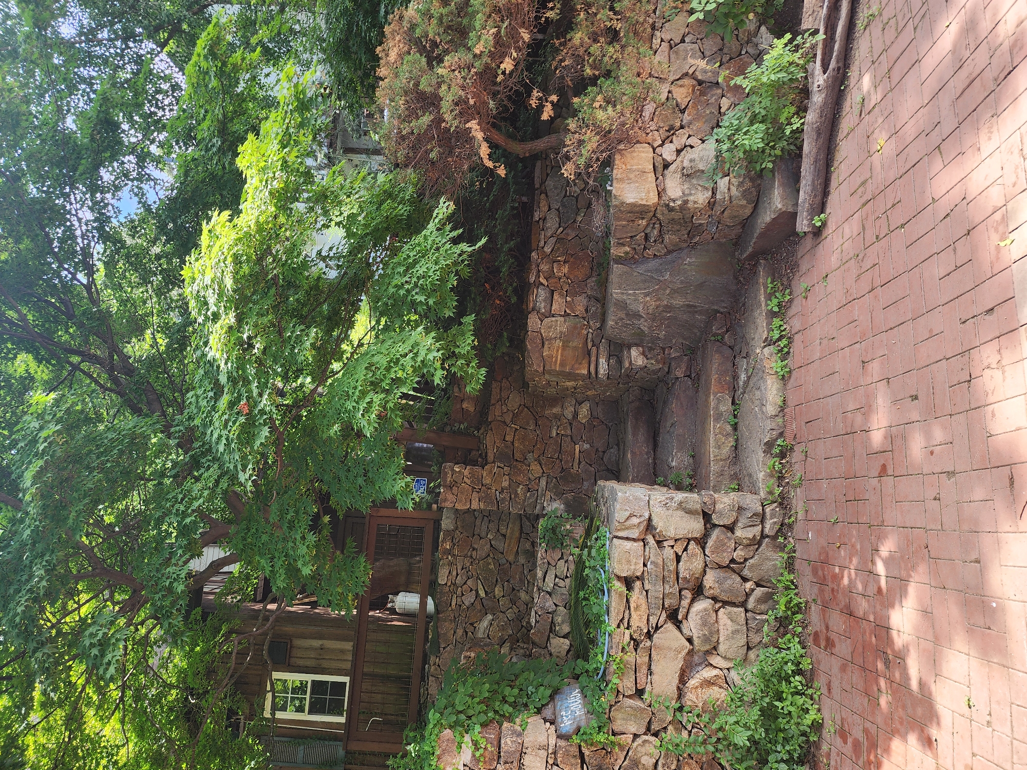 A rustic stone retaining wall with a stone staircase ascends a gentle slope on a sunny day, leading up to a wooden structure partially obscured by lush green foliage. The staircase, made of large, irregular stone slabs, is flanked by the rough-hewn stone wall, which is overgrown with vines and small plants. The ground in front of the wall is paved with reddish-brown bricks laid in a herringbone pattern, with dappled sunlight creating shadows. To the left of the staircase, a weathered blue sign with white lettering is attached to the stone wall. A propane tank is visible behind a wooden fence near the top of the wall, next to a wooden building with a white-framed window. The overall scene suggests a charming, natural setting, possibly a backyard or garden area in a residential or small commercial property in Pyeongtaek-si, South Korea.