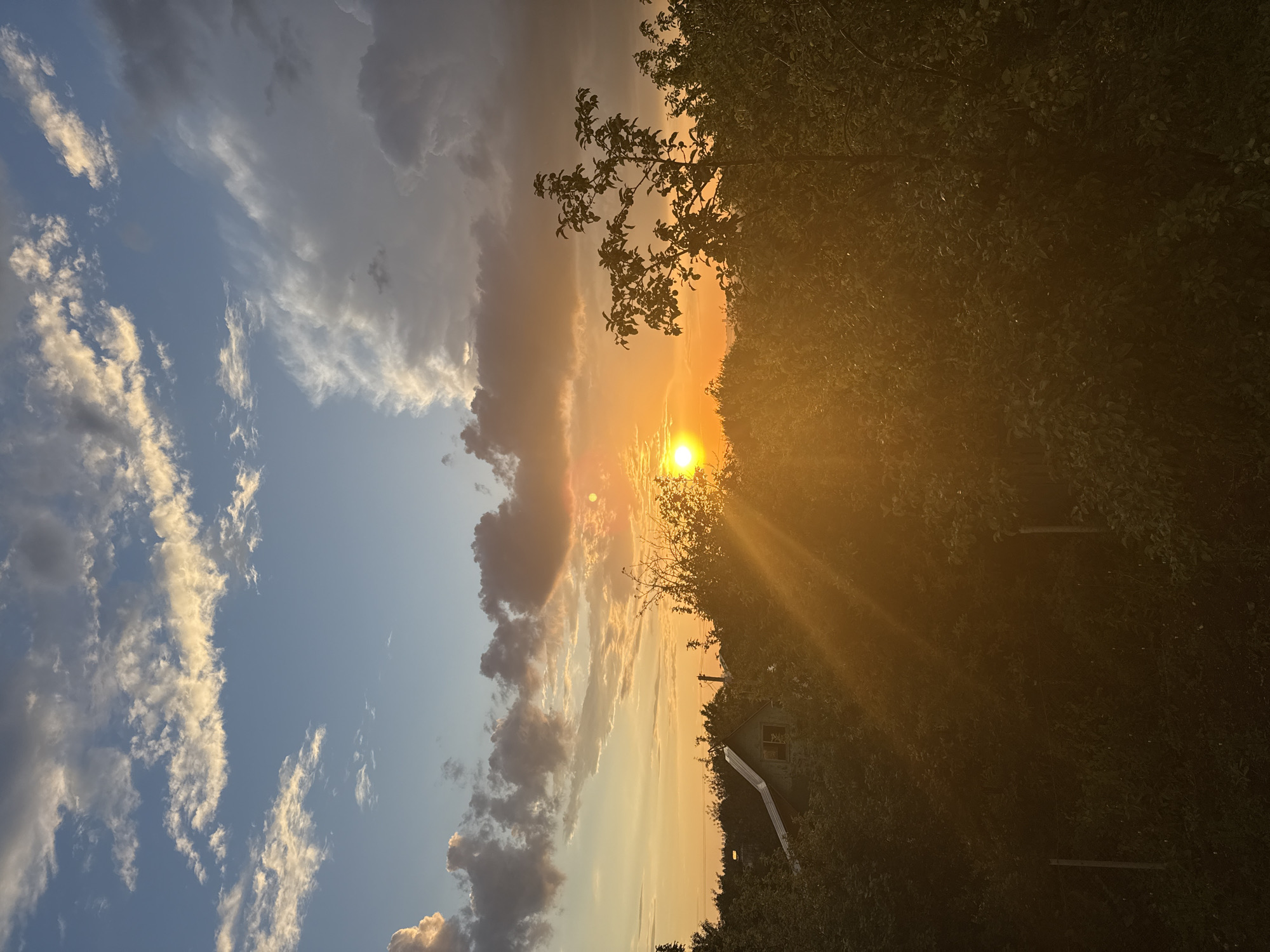 A vibrant sunset casts a warm glow over a semi-rural landscape. The sky is a dramatic canvas of blue, streaked with wisps of white clouds and larger, more ominous gray formations that catch the orange and yellow light of the setting sun. The sun itself is a bright, dazzling orb, peeking through a gap in the clouds and casting strong rays that create a lens flare effect across the image.
In the foreground, lush green foliage dominates, with trees and bushes creating a dense, shadowy layer. Silhouetted against the vibrant sky, the leaves and branches are a deep, dark green, hinting at the transition into evening. Among the trees, a small, angular house with a light-colored roof is partially visible, its windows dark and indistinct. The scene suggests a quiet, domestic setting, perhaps a backyard or a small village on the outskirts of a city.
The overall impression is one of natural beauty and tranquility, with the dramatic sky providing a dynamic contrast to the stillness of the landscape below. The sun's rays, though intense, do not overpower the scene but rather enhance its natural drama. The image captures a fleeting moment of atmospheric beauty, the end of a day marked by the magnificent spectacle of a sunset.
