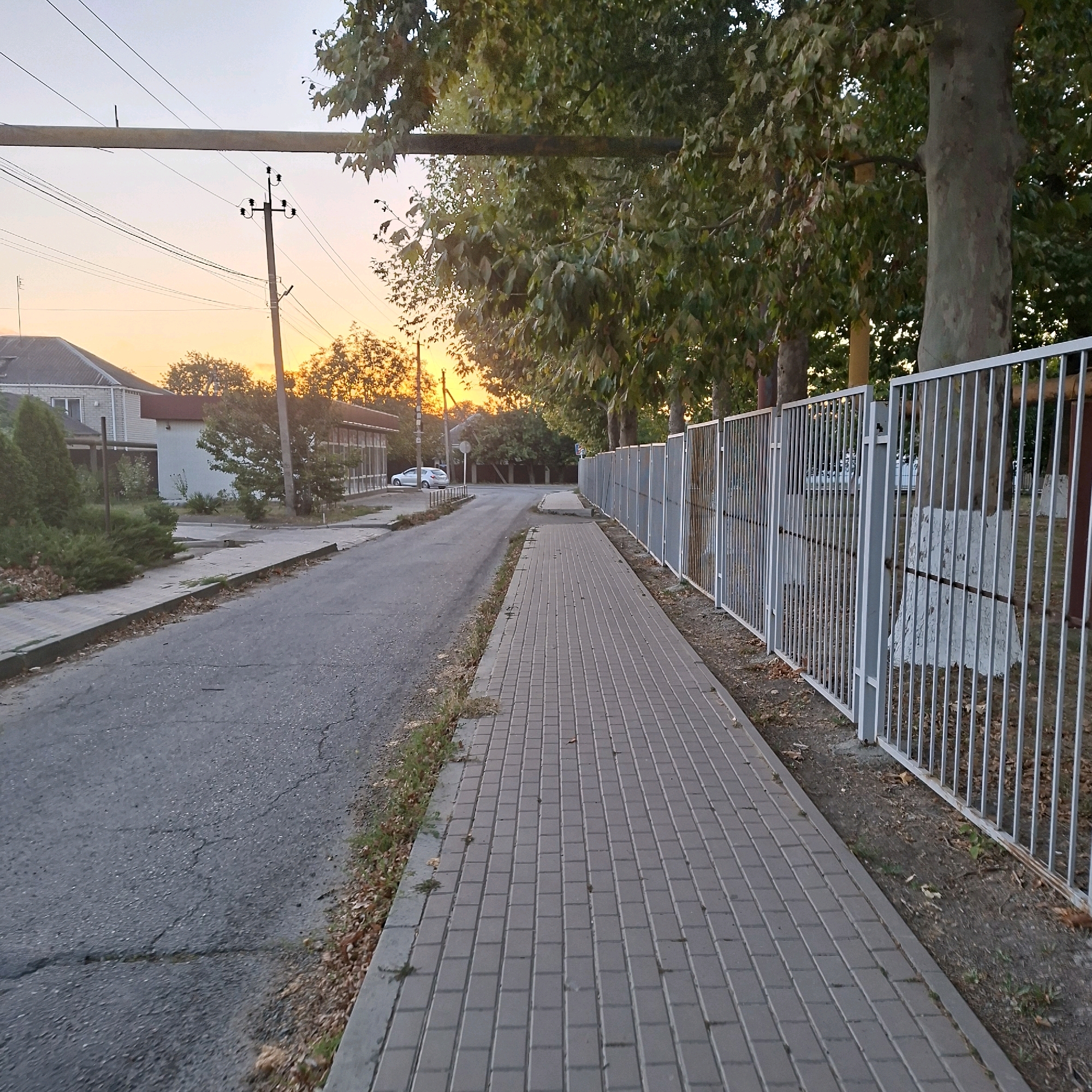 A street in Anapskaya, Russia, with a paved sidewalk on the right and a road on the left. The sidewalk is made of gray interlocking pavers. The road is asphalt and appears cracked in places. To the right of the sidewalk is a metal fence with vertical bars. Beyond the fence, trees with green and brown leaves are visible, and the trunks of some of these trees have been painted white. A large pipe or beam runs horizontally above the trees. In the background, there are buildings, including a light-colored house with a gray roof and a modern building with glass windows. A white car is parked on the left side of the road in the distance. The sky is a pale orange, suggesting either sunrise or sunset, with some thin clouds. A power pole with wires is also visible against the sky. Fallen leaves are scattered on the ground along the edge of the sidewalk and the road.