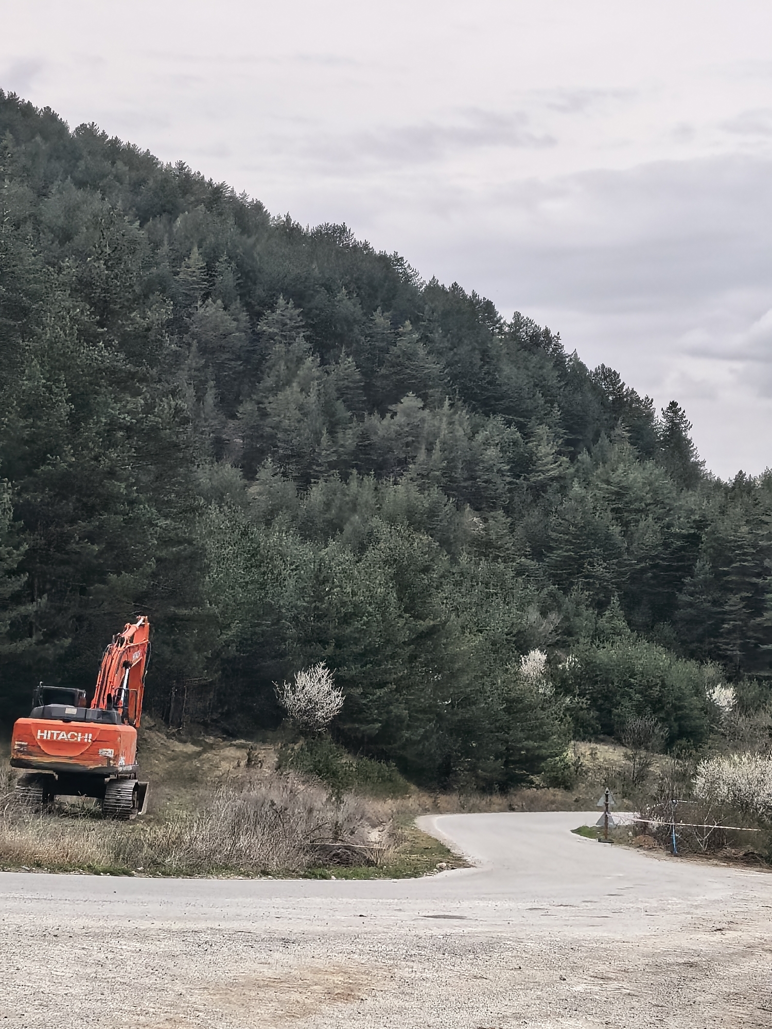 The image displays a rugged, forested landscape under an overcast sky, dominated by a dense hillside of evergreen trees, likely pines or firs. The trees blanket the entire slope, which rises from the left side of the frame and stretches across the upper and middle sections.
In the lower-left foreground, a large, orange Hitachi excavator is parked on a grassy and scrubby patch of ground. Its rear is facing the viewer, with the white "HITACHI" logo clearly visible on its back. The excavator appears idle, not actively engaged in any work.
A winding, two-lane asphalt road curves from the immediate foreground towards the middle-right of the image, disappearing around a bend. The foreground closest to the viewer is an unpaved, lighter-colored dirt or gravel area. To the right of the road, there are some smaller trees and bushes, including several deciduous ones adorned with white blossoms, indicating a springtime setting. A faint red and white barrier tape or rope is visible near the road on the right, along with a partially obscured road sign.
The sky is a uniform light gray, completely covered by clouds, which diffuses the light and creates a soft, somewhat muted atmosphere. The overall scene suggests a rural or remote location, possibly a mountainous region, with an implied sense of quiet and the potential for ongoing or paused construction or land management activities. No people are visible in the image.