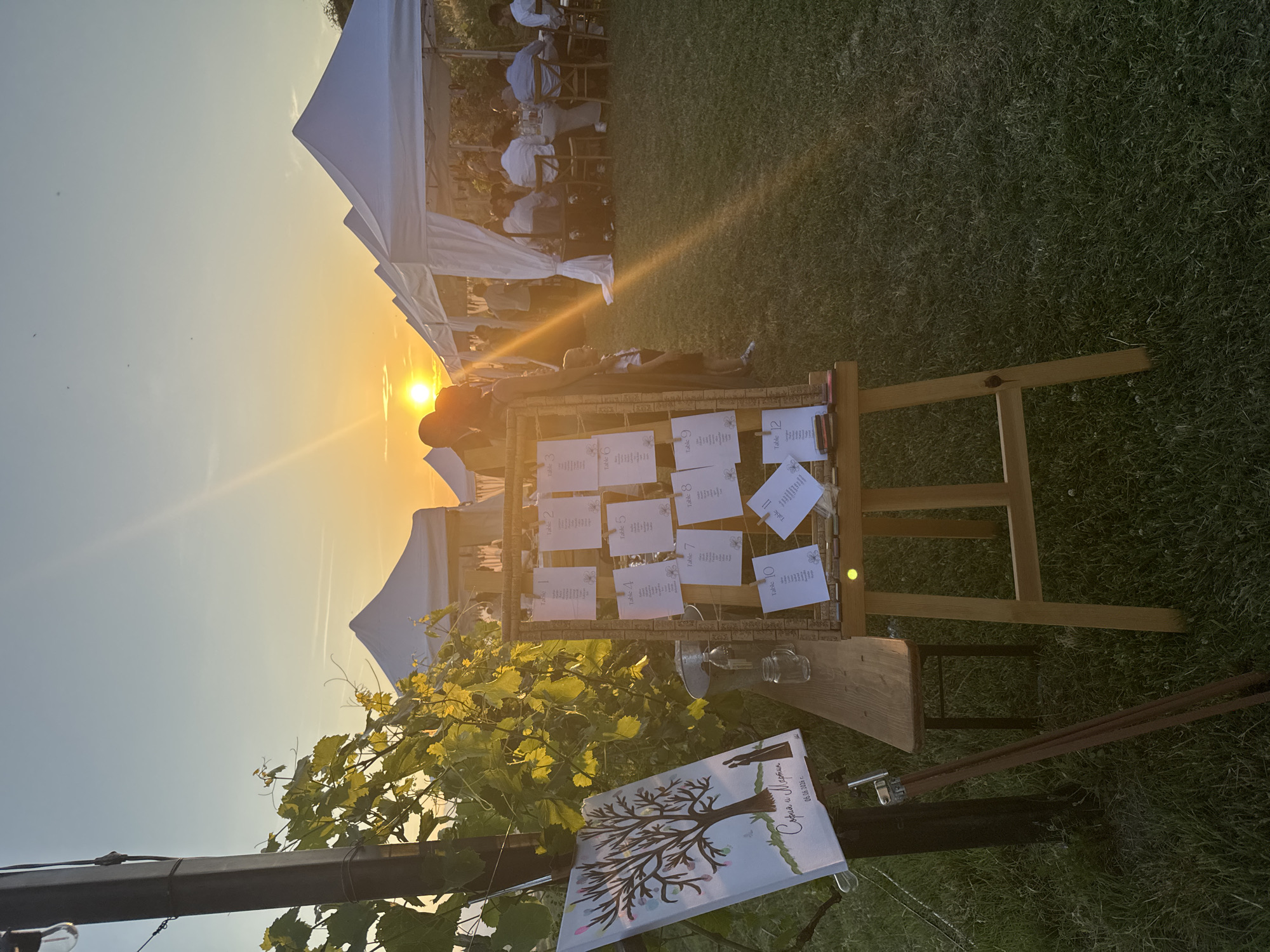 This image depicts an outdoor evening event in Harsovo, Bulgaria, during sunset. The scene is set on a grassy lawn with multiple white event tents.
In the foreground, to the left, a dark vertical pole with an attached string light is visible, partially obscured by green vine leaves illuminated by the setting sun. Adjacent to this pole, a white canvas board rests on a light-colored wooden easel. The canvas features an artistic depiction of a bare tree with colorful leaf-like elements, a silhouette of a couple at its base, and text that reads "София и Мартин" (Sofia and Martin) and "06.06.2024 г." (June 6, 2024).
To the right of the canvas, a rustic wooden bench is positioned. On the bench, a clear glass bottle and a clear glass jar are present. Dominating the center foreground is another light-colored wooden easel displaying a seating chart. The seating chart consists of multiple white cards, each labeled "Table" followed by a number (e.g., Table 1 through Table 12), and listing guest names. Small floral or leaf patterns decorate these cards. Below the cards, various small objects, possibly stamps or markers, are arranged on a small tray. A bright circular reflection is visible on the lower right leg of this easel.
In the mid-ground, a young child stands to the right of the seating chart easel, partially silhouetted. Further back, several white canopy tents are erected across the grassy area. Underneath these tents, round tables draped with white cloths and wooden chairs are arranged. Guests, predominantly adults, are seated at these tables, some with their backs to the camera, appearing to be dining or socializing. Clothing observed includes white and light blue shirts.
The background features a clear sky transitioning from a brilliant golden-orange at the horizon, where the sun is a prominent, intense orb, to a lighter blue towards the top. Sunlight casts long, golden rays across the entire scene, creating strong backlighting and lens flares. Faint contrails are visible in the upper sky. The perimeter of the event space behind the tents is marked by a darker, possibly tree-lined, horizon.