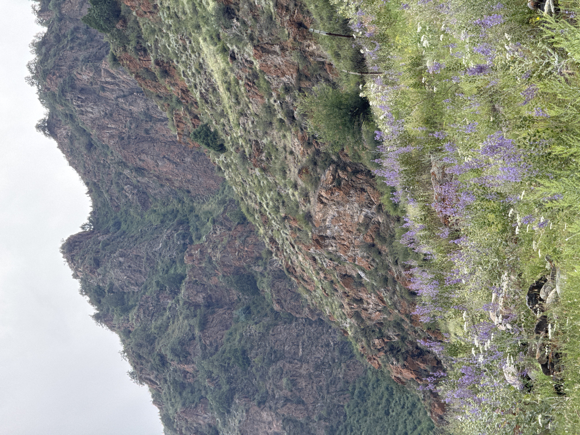 The image depicts a mountainous landscape with rocky slopes and vegetation. In the foreground, there is a field of wildflowers, predominantly purple and white. The middle ground shows a grassy, rocky hillside dotted with sparse green bushes and trees. The background features a large, rugged mountain with steep, reddish-brown rock faces and patches of green foliage. The sky is overcast and a light gray. The scene appears to be located in a natural, undeveloped area, likely in the vicinity of Kyzyl-Korgon, Kyrgyzstan, given the geographical context. There are no people or animals visible in the image. Two fence posts are partially visible on the right side of the image, suggesting a boundary or enclosure. The overall impression is one of a wild, untamed natural environment.