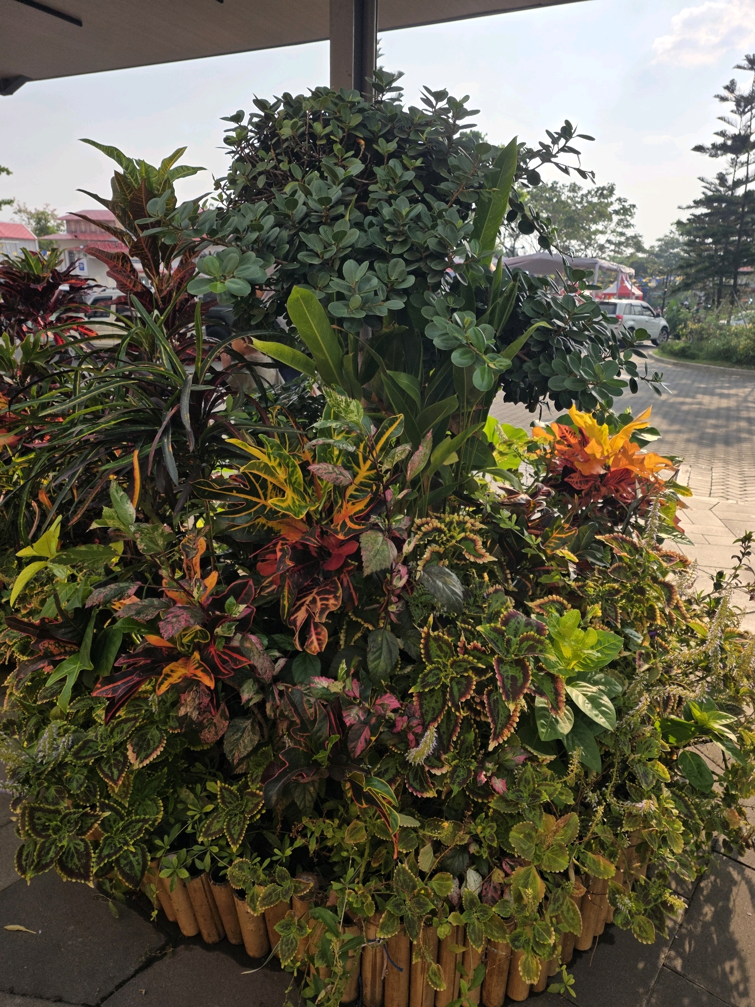 In a medium shot, a dense arrangement of potted plants, primarily displaying vibrant green, red, and yellow foliage, is positioned outdoors. The plants are contained within a tiered planter, with the lower section made of segmented wooden poles. The background shows a paved walkway and road, with vehicles and buildings visible in the distance under a bright, hazy sky. The scene is captured from a slightly low angle, looking up towards the plants and the sky. This image appears to be taken in a public outdoor space, potentially a garden or a commercial area, in Bandung City, Indonesia.