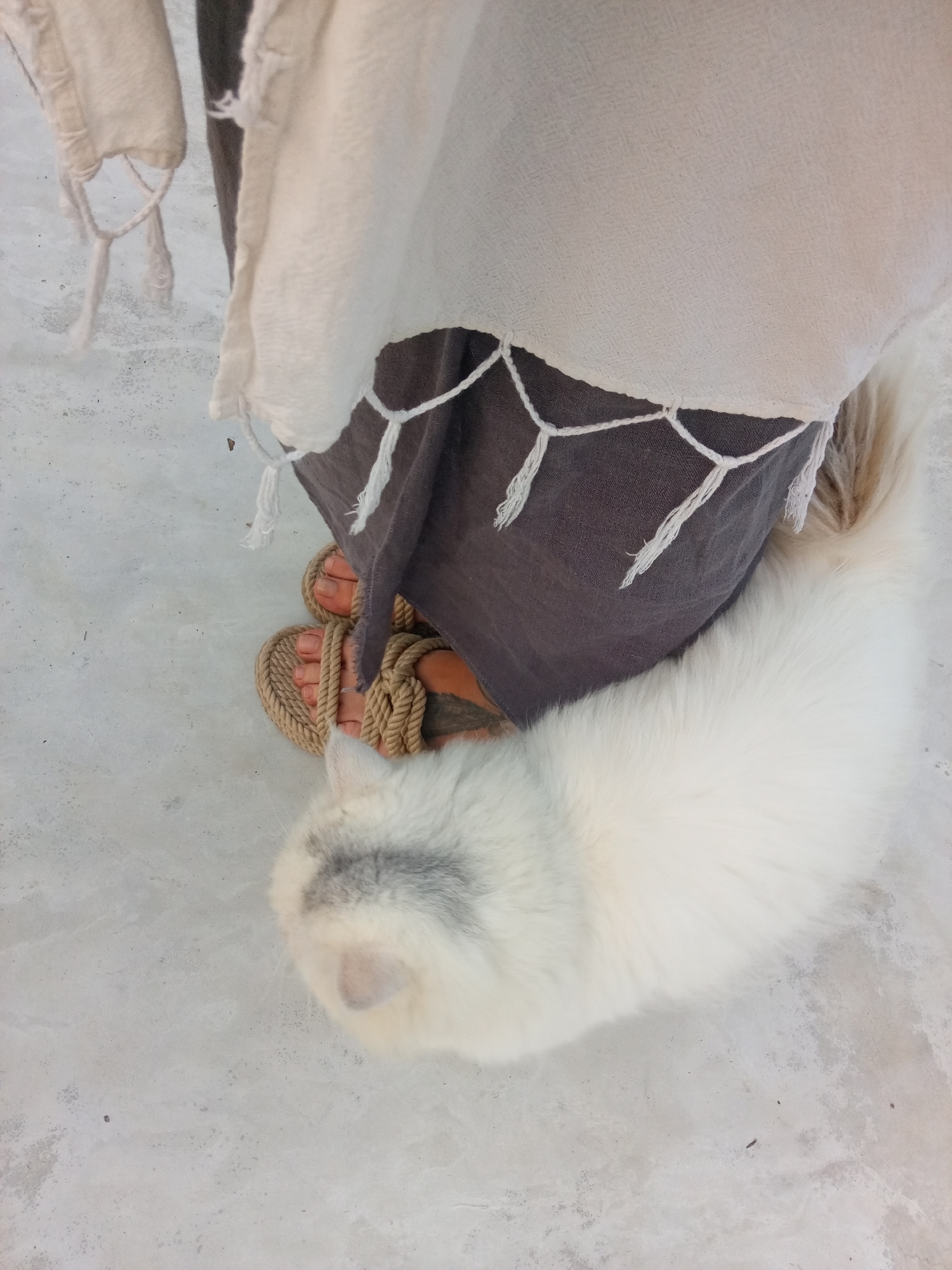 A top-down, medium shot captures a person's feet in rope sandals, the hem of a dark grey dress or skirt with decorative white tassels, a portion of a white garment also with tassels, and a fluffy white cat. The scene is set on a light grey surface, possibly concrete. The context of Bac Natural Heritage Area Trang, Vietnam, is not directly evident within the frame.