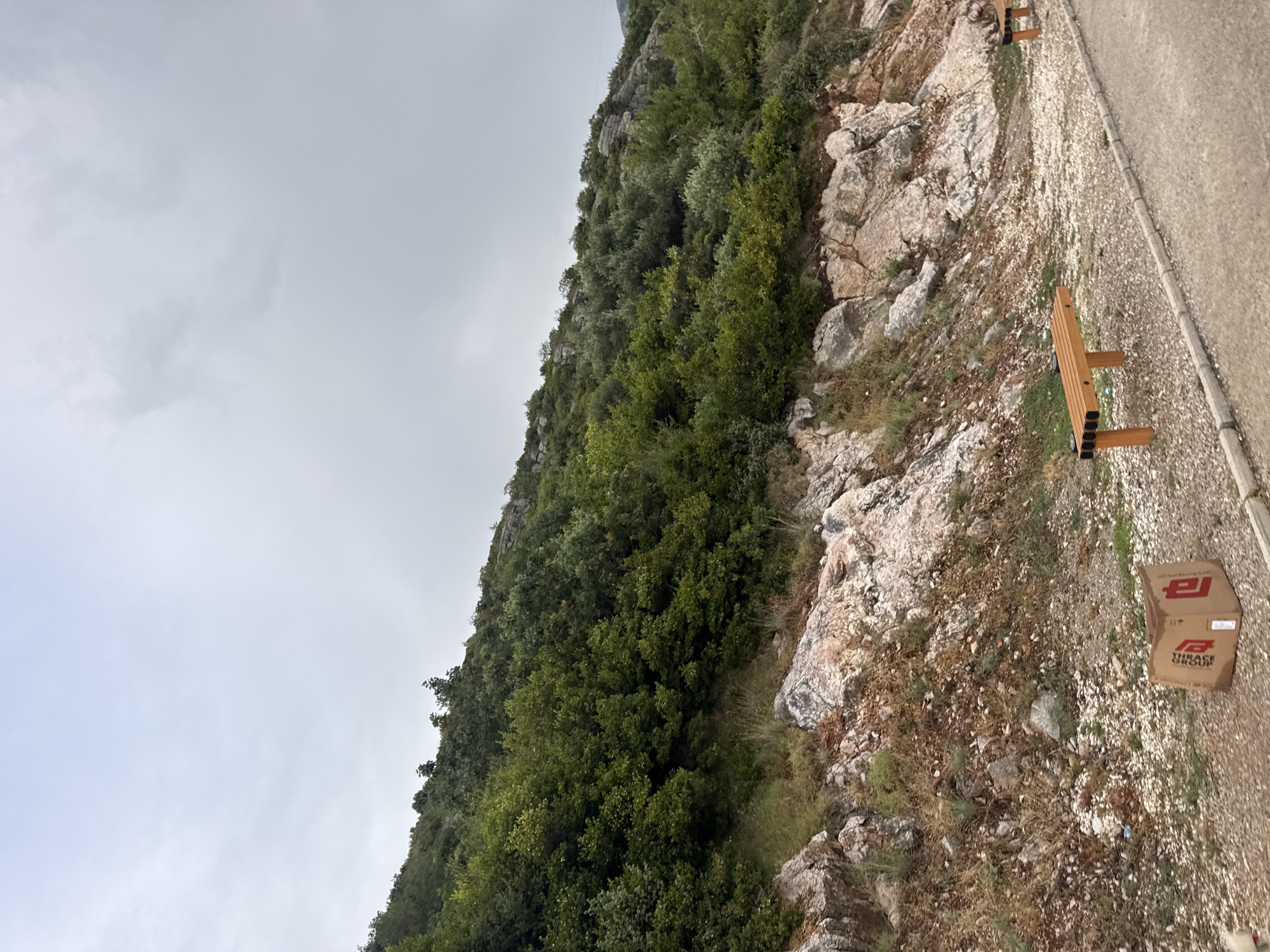 The media file depicts a scene in Kamenovo, Montenegro, with a focus on a rocky hillside covered in lush green vegetation. The hillside slopes upwards, with the trees and shrubs creating a dense canopy. Interspersed with the vegetation are large, pale rocks, indicative of a mountainous or rugged terrain.
In the foreground, to the right, a paved pathway runs alongside the hillside. Along this pathway, there are two wooden benches, suggesting this is a scenic spot for visitors. Further along the pathway, a cardboard box with visible red lettering is present. The lettering on the box appears to read "THRACE GROUP" and includes a logo.
The sky is overcast, indicating a cloudy or possibly foggy day. The time of day is indeterminate due to the lack of direct sunlight or distinct shadows. The overall mood is tranquil and natural, highlighting the beauty of the Montenegrin landscape. No people are visible in the image.