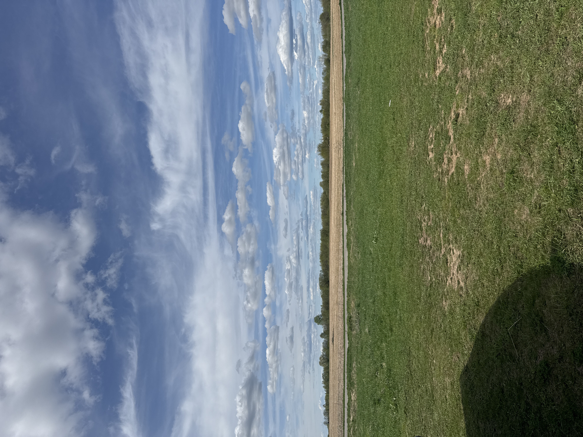 The image depicts a landscape under a partly cloudy sky. The left portion of the image shows a sky filled with both wispy and puffy clouds against a blue backdrop. The right side of the image shows a field of green grass with patches of bare earth visible. Separating the sky and the field is a narrow strip of brown vegetation or soil, punctuated by a thin line of trees. The image appears to be taken at ground level. The location is Bol'shoye Kozino, Russia.