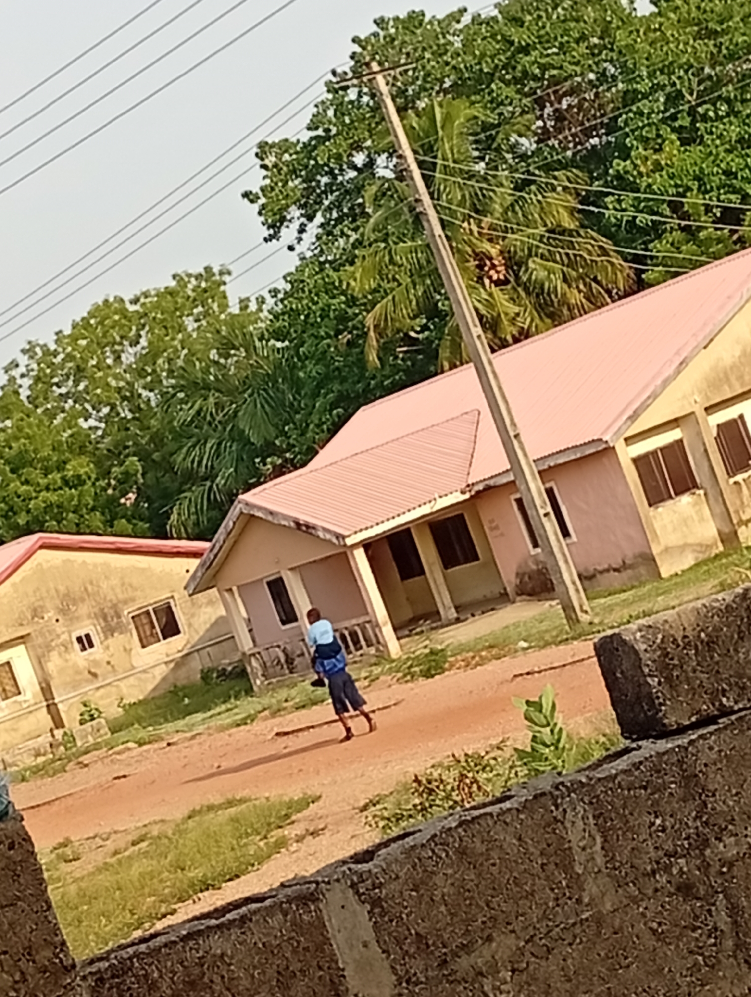 This image depicts an outdoor scene in what appears to be a residential or semi-rural area, consistent with the context of Adankolo, Nigeria. The foreground is partially obscured by a low, rough concrete or stone wall. A prominent utility pole stands angled in the middle ground, with several power lines extending across a bright, clear sky.
A single person is visible, walking away from the viewer along a reddish-brown dirt or gravel path. They are carrying something on their back, possibly another person or a large item, a common mode of transport in many parts of the world. The individual wears a light-colored shirt and dark bottoms.
Two single-story houses line the path. The house on the right is closer and more fully visible, characterized by light-colored walls (appearing faded yellowish or pale pink) and a distinctive pink or red corrugated metal roof. It features several rectangular windows with dark frames. A similar house is partially visible to the left.
The background is filled with dense green foliage from various trees, including what appear to be palm trees with visible fruit clusters. The natural light is bright, suggesting a sunny day, likely late morning or early afternoon. The scene portrays a casual moment of daily life in a warm climate. There is no visible text in the image.
