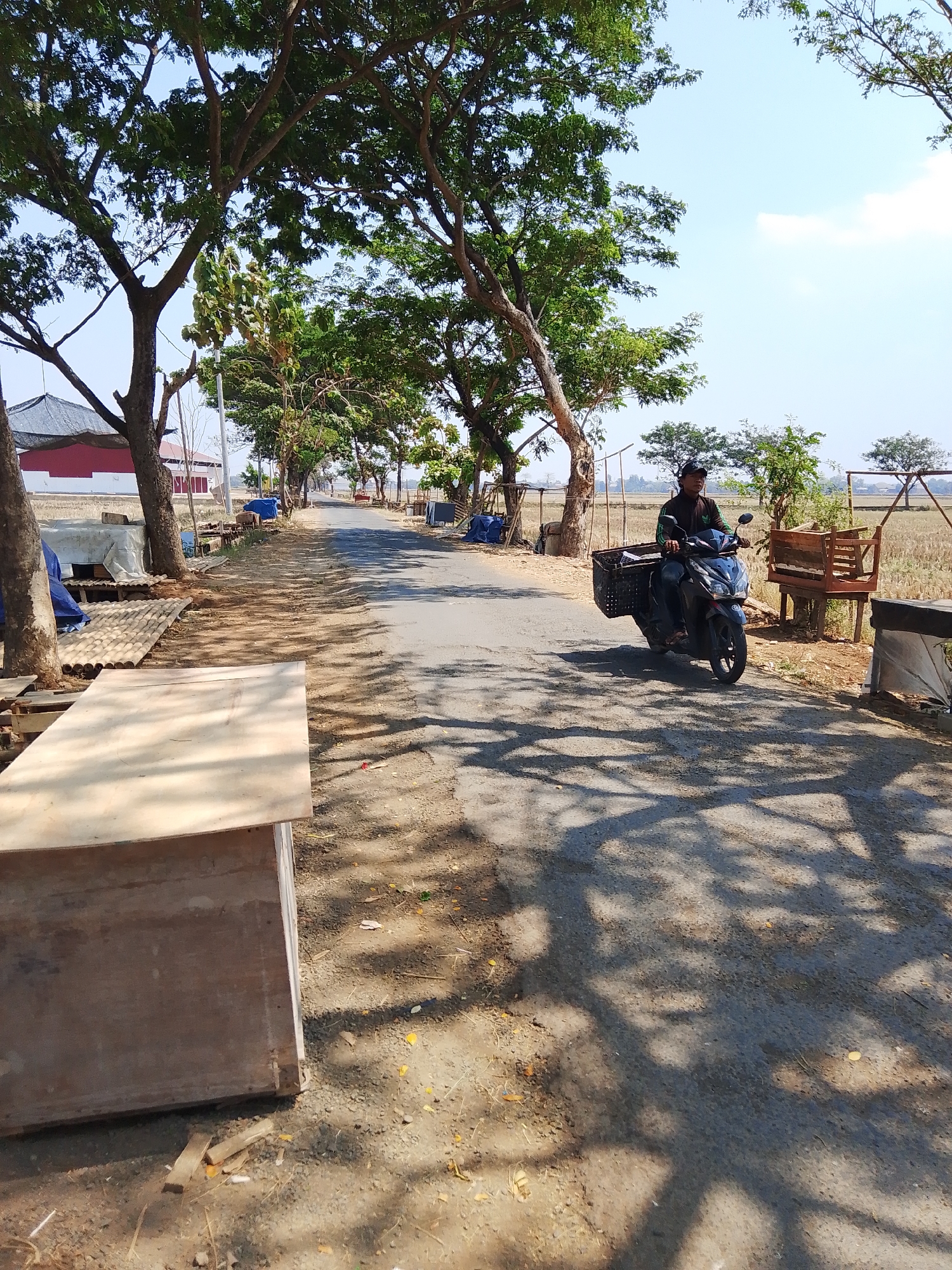 In Kuanyar, Indonesia, a person rides a dark-colored scooter with a large black basket attached to the rear. They are wearing a dark long-sleeved shirt and a baseball cap. The scooter is traveling on an asphalt road lined with trees casting shadows on the ground. To the left of the road, there are some structures covered with blue tarps and a large wooden box. In the background, there are fields and more trees under a clear blue sky.