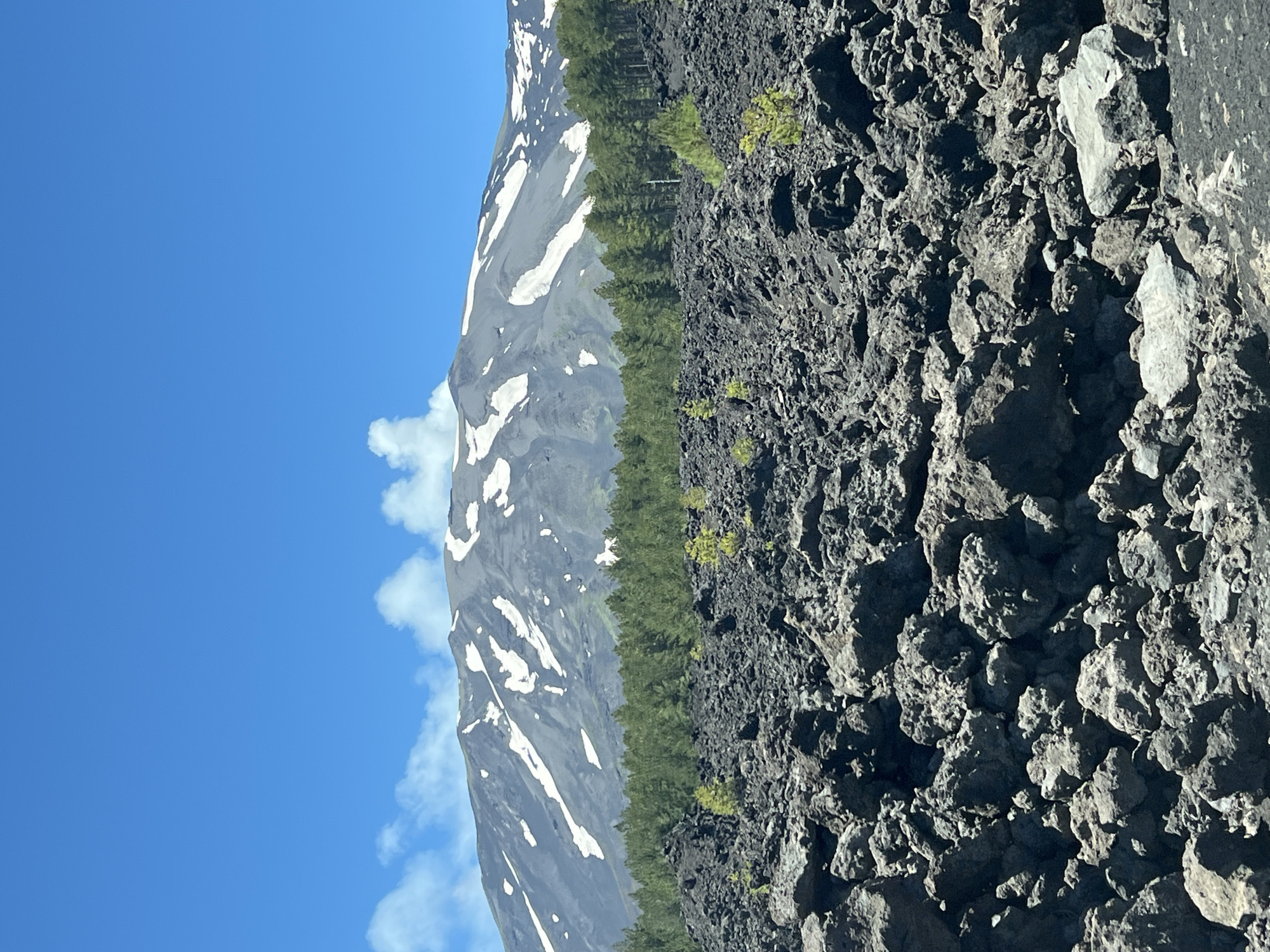 The image shows a volcanic landscape with a snow-capped mountain in the background. The foreground is covered in dark, jagged volcanic rocks. A dense forest of green trees separates the rocky foreground from the mountain. The mountain itself is dark gray with patches of white snow. A plume of white smoke or steam rises from the summit of the mountain. The sky is a clear, bright blue with a few wispy white clouds. This scene is characteristic of Mount Etna, an active volcano located near the town of Linguaglossa, Italy. There are no people or animals visible in the image.