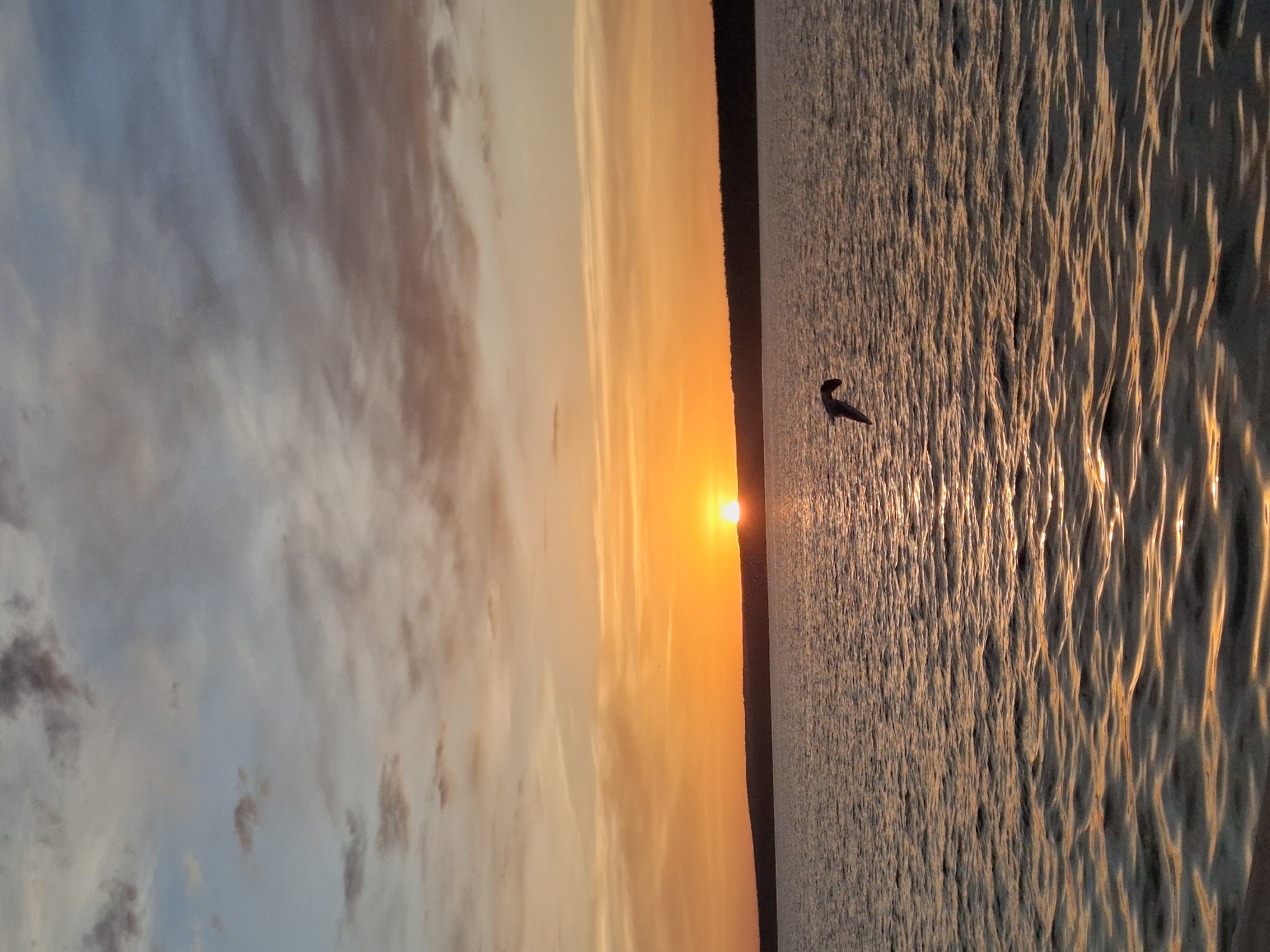 The image captures a sunset scene over a body of water, likely the Kama River near Chaikovsky, Russia. The sun, positioned on the horizon, casts a bright orange glow across the sky, transitioning from blues and greys with scattered clouds on the left to warm yellows and oranges near the center. The water reflects the sunlight, creating a shimmering effect with visible waves and ripples. A dark silhouette of a bird is visible in the water. A dark strip of land or forest can be seen in the middle of the frame, separating the sky from the water.