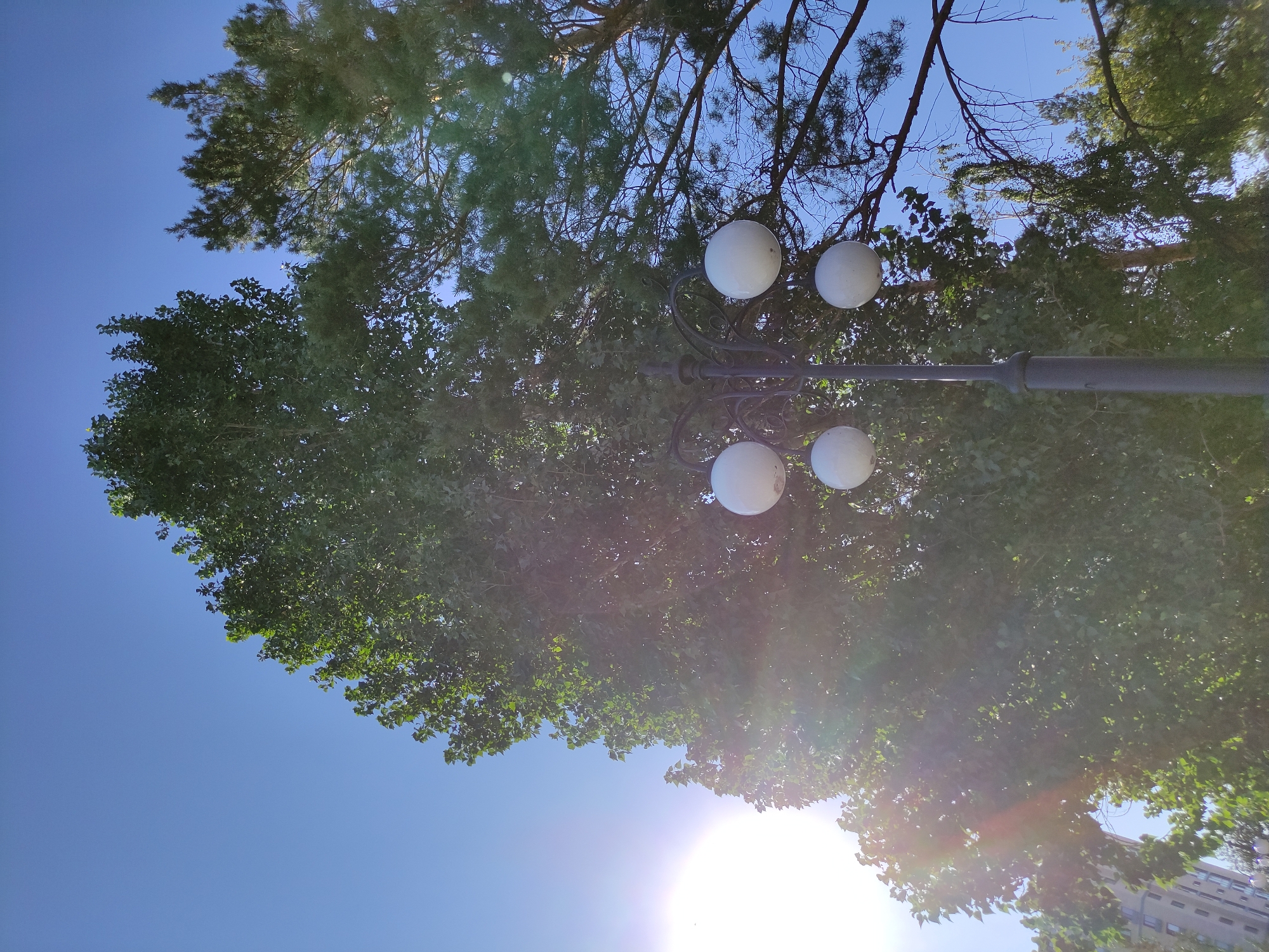 In Semey, Kazakhstan, a street lamp with four white spherical lights stands against a backdrop of lush green trees and a clear blue sky. Sunlight streams through the leaves, creating a lens flare effect on the left side of the image. A building with multiple windows is visible in the lower left corner.