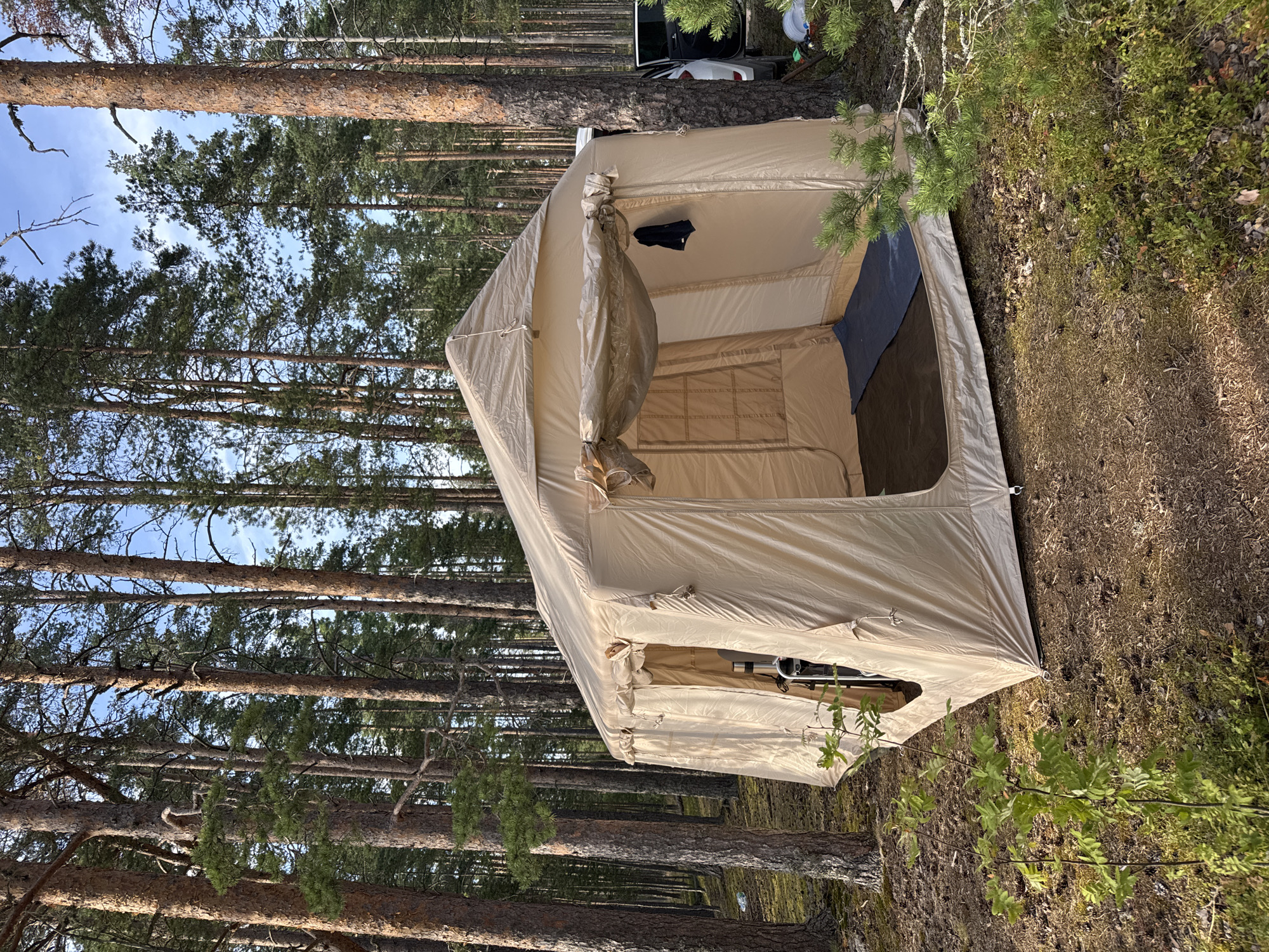 The image shows a large, tan-colored canvas tent set up in a pine forest. The tent is open, revealing a dark blue sleeping mat inside. A black garment is hanging on a loop on the exterior of the tent. The ground is covered with pine needles, moss, and small green plants. Tall pine trees surround the tent, with the sky visible through their branches. A white SUV with its doors open is parked behind the tent, to the right. The scene suggests a camping trip in a wooded area near Priladozhskoe, Russia.