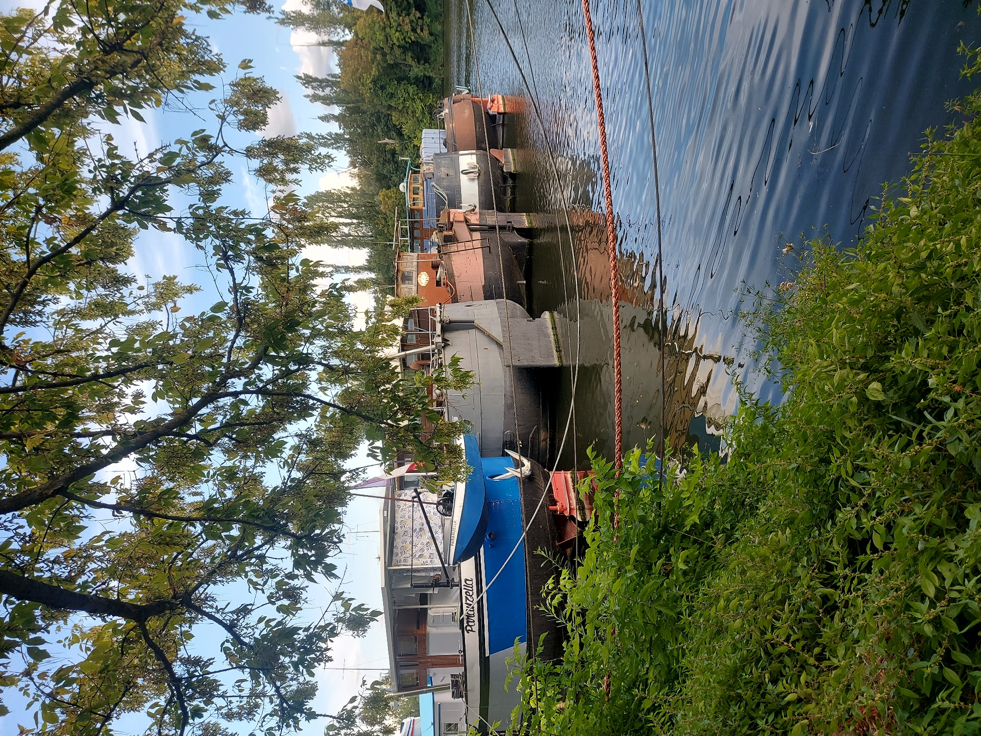 In Conflans-Sainte-Honorine, France, a tranquil scene unfolds along a waterfront, likely the confluence of the Seine and Oise rivers, where several houseboats are moored. The foreground is dominated by lush green foliage, obscuring the lower portion of the moored vessels. Above the greenery, the houseboats are lined up, their weathered structures hinting at a long history. The boat closest to the viewer is a striking blue and white, bearing the name "Paranizella" in elegant script. It features a small, detached blue dinghy suspended above its bow, equipped with a white anchor.
Beyond the "Paranizella," other houseboats of varying designs and colors are visible, including a grey vessel, a reddish-brown one with portholes, and another with a black and white stripe along its hull. The water is calm, reflecting the sky and the surrounding trees. In the background, a line of tall trees creates a verdant backdrop, their silhouettes contrasting with the clear blue sky dotted with a few white clouds. The overall impression is one of peaceful coexistence between the urban environment and the natural flow of the river, a characteristic of Conflans-Sainte-Honorine's identity as a river port.