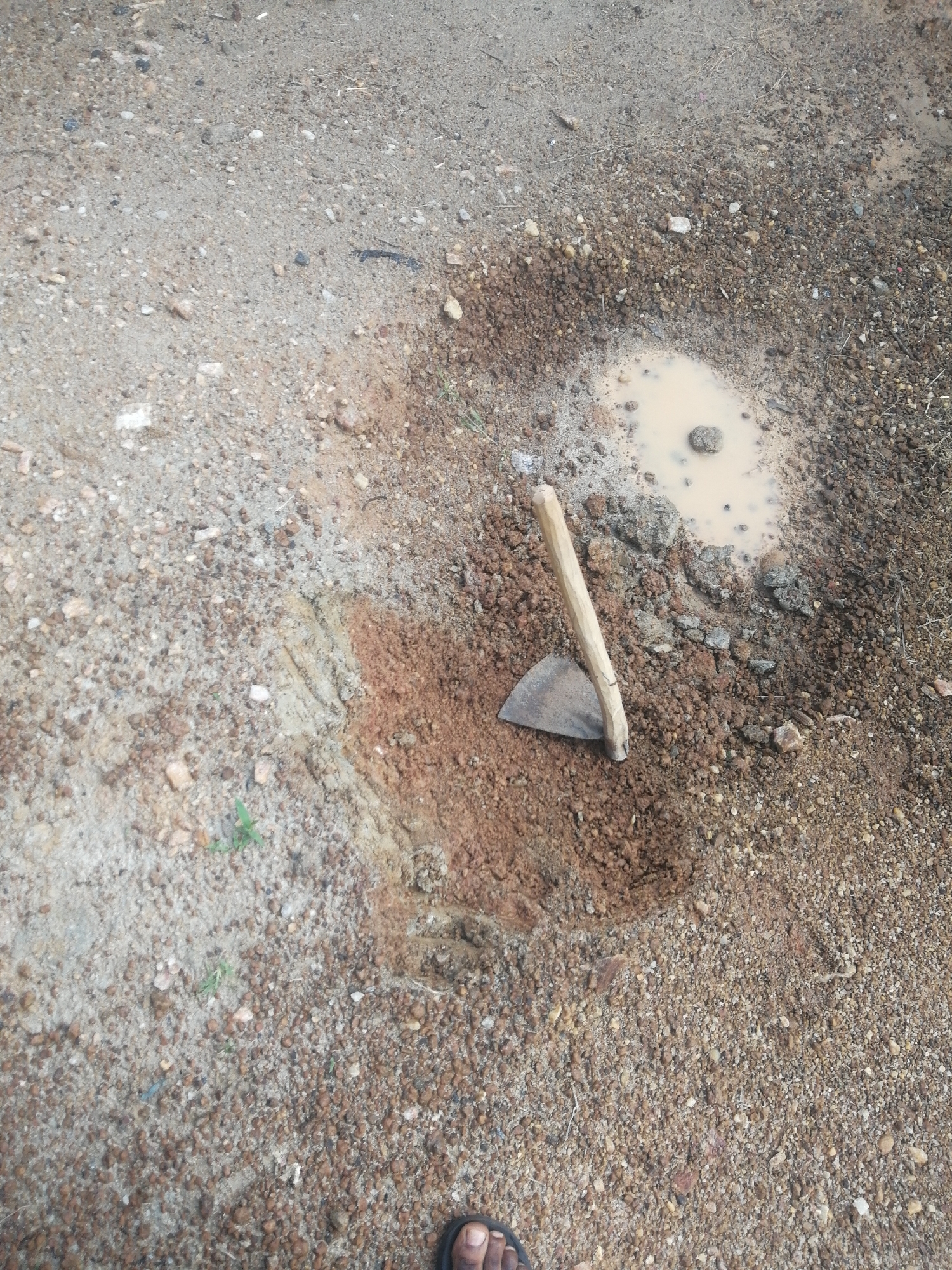 The image shows a close-up overhead view of a patch of earth that has been recently dug. A hoe with a metal blade and a wooden handle lies in the hole, angled against the dirt. The ground is a mix of soil, gravel, and small stones. To the right of the hoe, there is a small puddle of muddy water. The surrounding area is also covered in dirt and small stones, with some sparse green weeds visible. In the bottom right corner, a person's bare foot with toes and toenails is visible, suggesting the photo was taken by someone standing there. The lighting suggests it is daytime, and the presence of the puddle indicates recent rainfall or watering. The overall scene conveys a sense of manual labor or ongoing outdoor work, possibly in a rural or undeveloped area. No text is visible in the image.