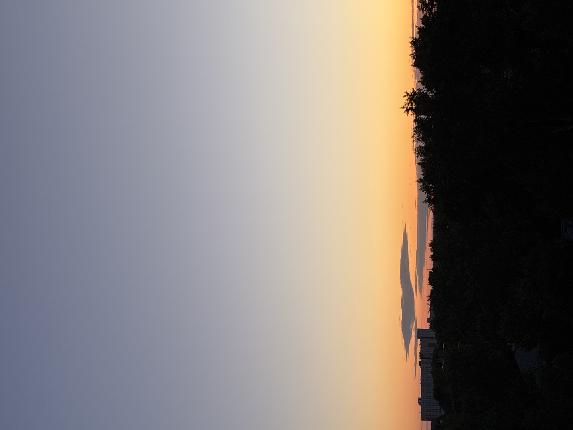 The image depicts a cityscape at sunset. The sky transitions from a pale blue at the top to a vibrant orange near the horizon, with a few wispy clouds present. Silhouetted against the colorful sky is a dense line of dark trees that occupies the lower third of the frame. In the distance, beyond the trees, a large, multi-story building with a flat roof and visible windows is silhouetted. The overall impression is one of a tranquil evening in a partially urbanized environment.