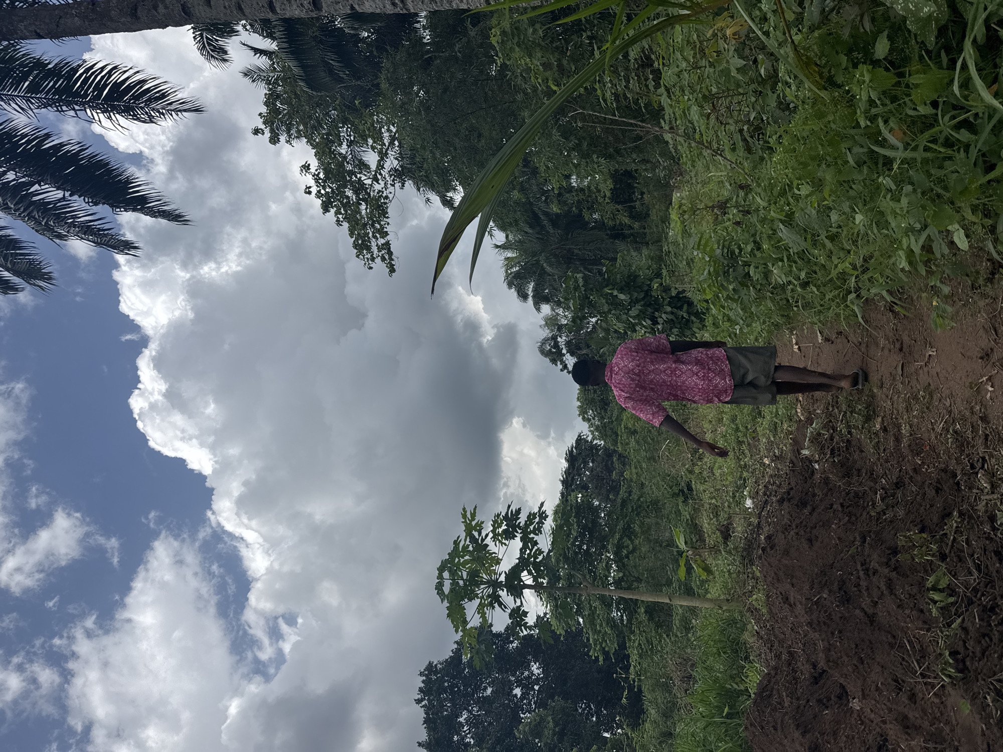 The image, taken in what appears to be a tropical or subtropical setting like Eziudo, Nigeria, shows an outdoor scene with a person and lush vegetation under a cloudy sky. The person, seen from behind, is standing on a dirt path. They are wearing a pink or red patterned short-sleeved shirt, dark shorts, and flip-flops, looking towards a verdant landscape.
In the middle ground, immediately to the left of the path, is a significant mound of dark, freshly turned soil, suggesting recent digging or preparation of the land. A young papaya tree with its characteristic broad leaves stands upright near the soil mound. The surrounding area is densely covered with various green plants and trees, including tall, leafy species and palm trees whose fronds are visible at the top of the frame.
The sky above is partly blue with large, dramatic white and grey cumulus clouds, indicating a bright but overcast daytime. The scene conveys a sense of rural or agricultural activity, possibly related to gardening or farming, with the disturbed earth and the presence of the papaya tree. There is no visible text in the image.