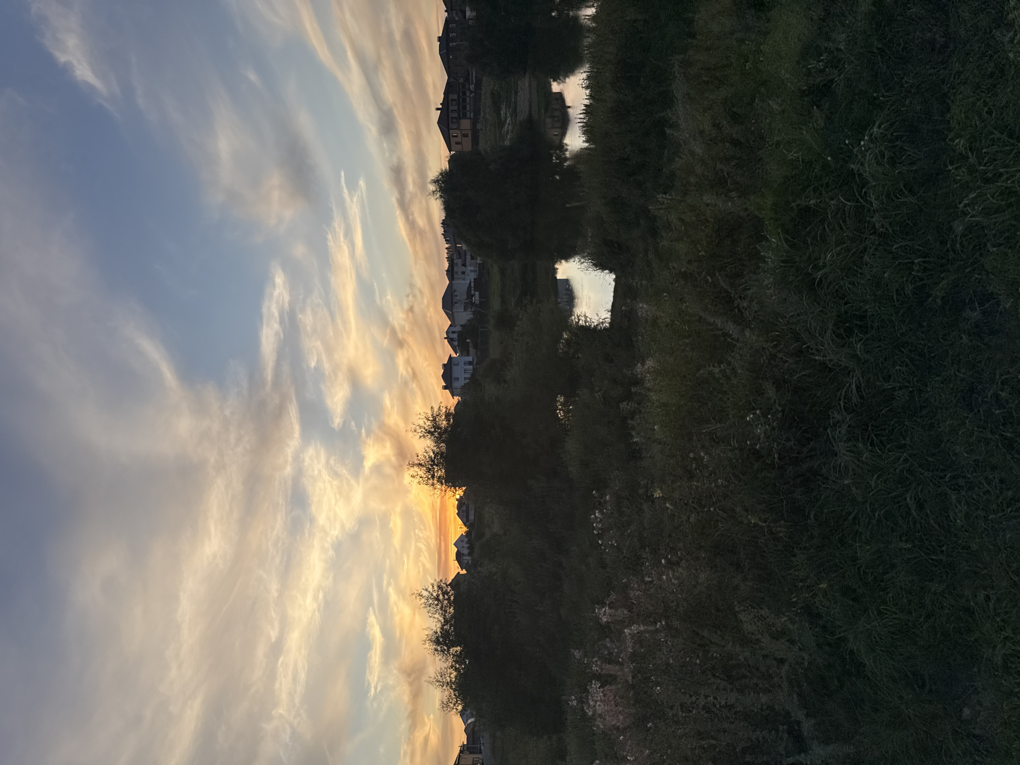 The image depicts a sunset scene in Bogoslovka, Russia. The sky is filled with streaks of orange, yellow, and blue clouds. In the background, a row of residential houses with pitched roofs is visible, some with illuminated windows. The foreground is dominated by dark, dense vegetation, including trees and tall grass. A body of water, likely a river or pond, is present in the middle ground, reflecting the sky and surrounding foliage. The scene is tranquil and appears to be set in a suburban or rural area.