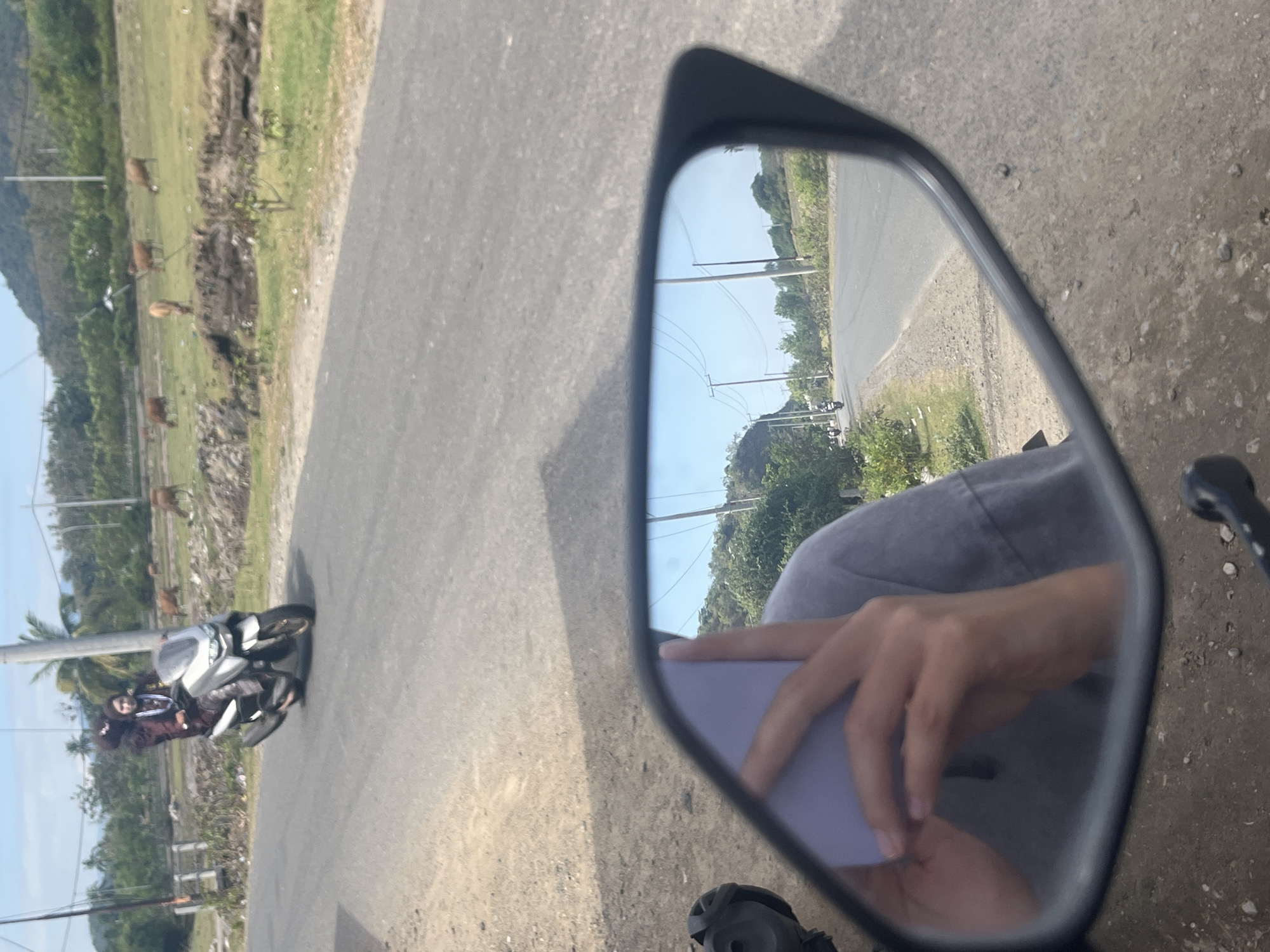 In Desa Lamunga, Indonesia, on a paved road, two individuals are riding a silver scooter. The person in front, wearing a hijab and a maroon patterned outfit, is driving, while the person behind them, wearing a darker head covering, is seated. Cows graze in a grassy field to the right of the road, and trees line the background. A rear-view mirror reflects the road ahead, showing another scooter with two riders, power lines on poles, and greenery. In the foreground of the mirror's reflection, a hand holds up a light purple object, obscuring part of the face of the person taking the photo, who appears to be wearing a grey t-shirt. The ground next to the road is dusty and stony.