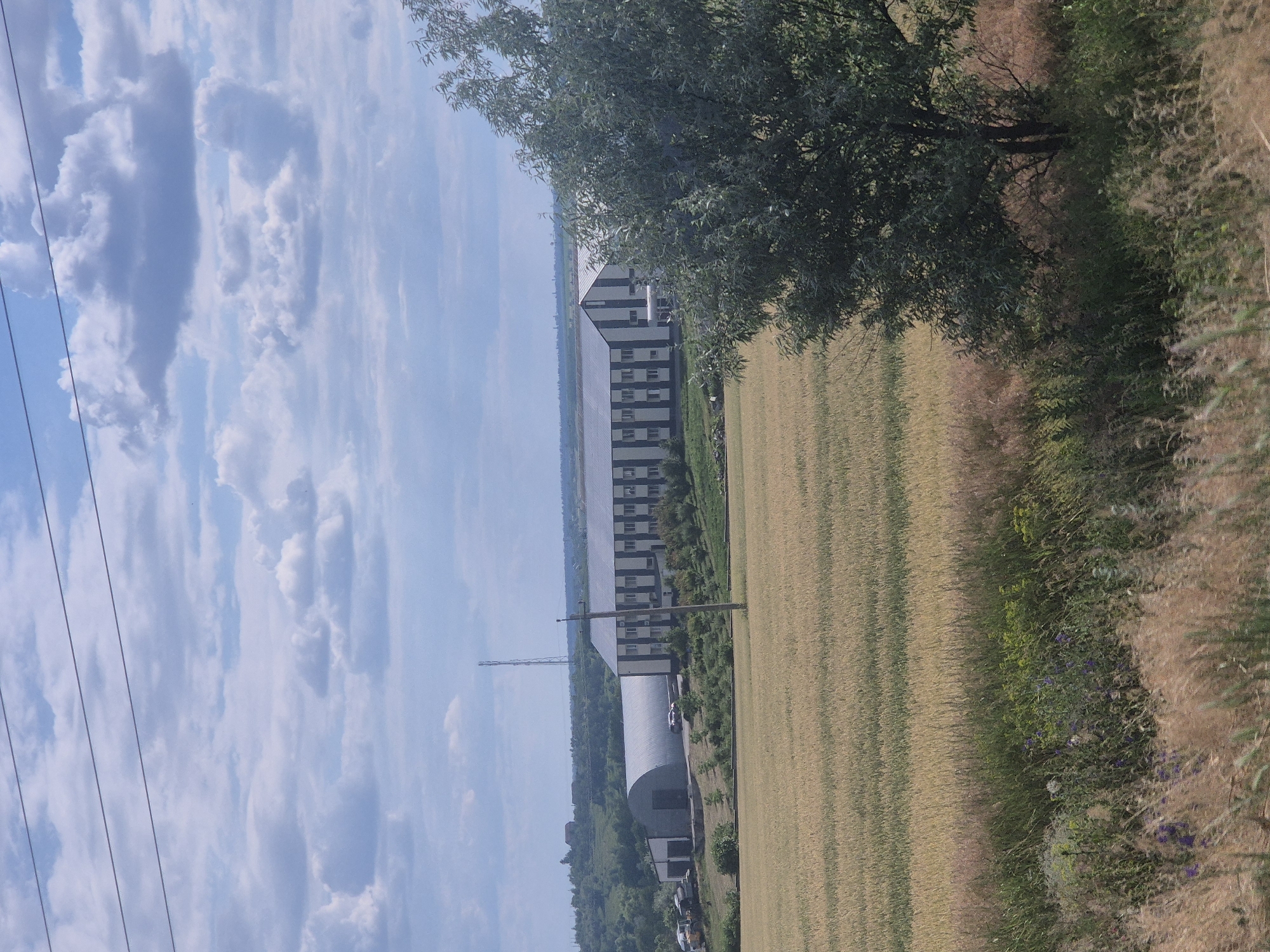 The image depicts a panoramic view of a rural landscape in Pidhaitsi, Ukraine. The foreground is dominated by a field of mature, golden wheat, showing distinct rows from harvesting or cultivation. Beyond the wheat field, a large, modern industrial building with a distinctive striped facade of white and dark grey is visible. To the left of this building is a large, arched structure, likely a hangar or warehouse. A tall telecommunications tower stands in the distance, rising above a line of trees and rolling hills. The sky is partly cloudy, with a mix of white cumulus clouds against a pale blue sky. Several power lines are strung across the upper portion of the image. The overall scene is tranquil and representative of the agricultural and industrial outskirts of a Ukrainian town. There are no people visible in the image.