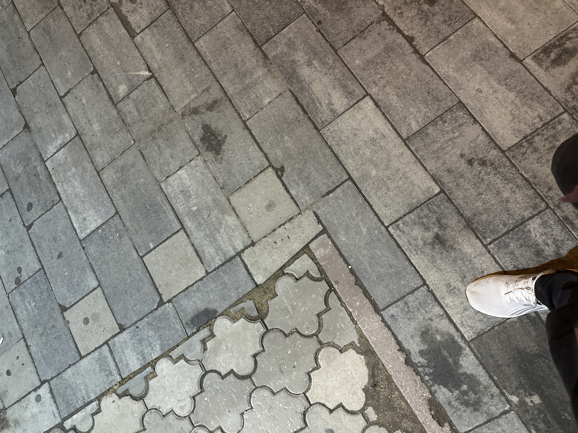 A first-person perspective shot captures a person's white athletic shoe and lower legs standing on a paved sidewalk composed of interlocking grey rectangular pavers. To the left of the rectangular pavers, a section of the sidewalk features lighter colored, clover-shaped pavers. The ground is wet in several areas, creating dark patches, and dirt and debris are visible along the edge where the two types of pavers meet. The scene appears to be an outdoor urban environment. The presence of a white athletic shoe suggests casual walking or standing.