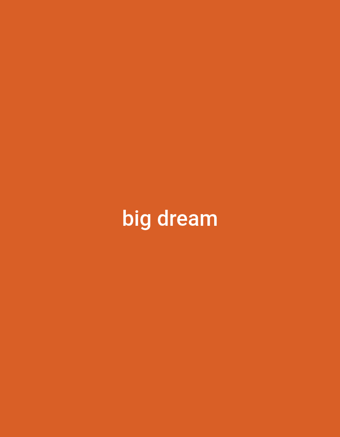 The image is a plain orange background with the white text "big dream" centered horizontally and vertically. There is no discernible location in the city of Jalingo, Nigeria, or any other specific environmental details present. The image is a simple graphic with text.