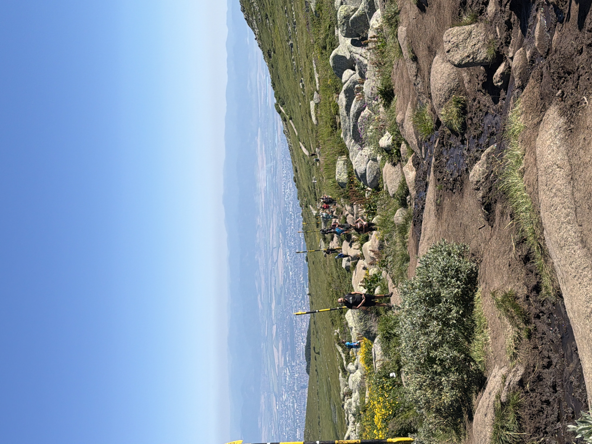 The image depicts a mountainous landscape with a clear blue sky and a distant view of a city. A group of people are hiking on a rocky trail that winds through green grass and wildflowers. Some are clustered together, while others are spread out along the path. Yellow and black striped poles are visible along the trail, likely marking the route. In the foreground, large rocks and muddy patches of ground are prominent. The city in the distance, with its buildings and layout, is likely Bistritsa, Bulgaria, given the context. The overall scene suggests an outdoor recreational activity on a sunny day.