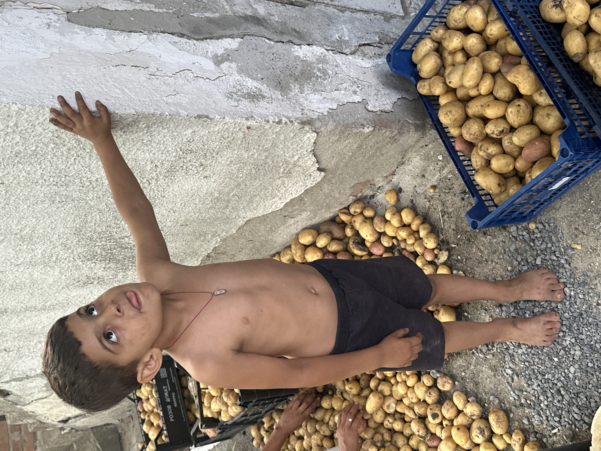 A young boy with dark hair and brown eyes, wearing only dark shorts, lies on his back in a pile of harvested potatoes. He is looking up and to his left, with his tongue slightly sticking out. His left arm is extended upwards, touching a cracked, textured wall. A thin red string with a small pendant hangs around his neck. To his right, a blue plastic crate overflows with potatoes, and more potatoes are scattered on the gravel ground. Another person's hands are visible near the boy's legs, one of which is wearing a ring. In the background, more potatoes are piled and a portion of a black crate with visible text is partially obscured. The scene appears to be outdoors, possibly in a rural setting, with the ground covered in gravel and dirt. The lighting suggests it is daytime. The text on the black crate is Cyrillic and appears to be "РОЗОВ ЛОНАТ" and possibly "КАМИН". Based on the provided location context, the scene is likely in Mlekarevo, Bulgaria.