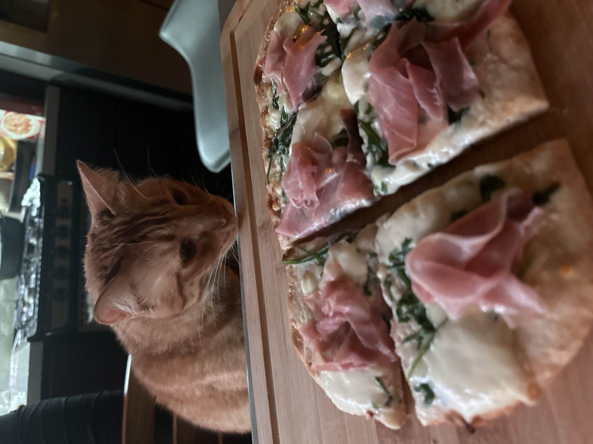 A ginger tabby cat is intensely observing a flatbread pizza topped with mozzarella, arugula, and prosciutto, which rests on a wooden cutting board. The location is unknown. The cat is looking at the pizza with intense curiosity.