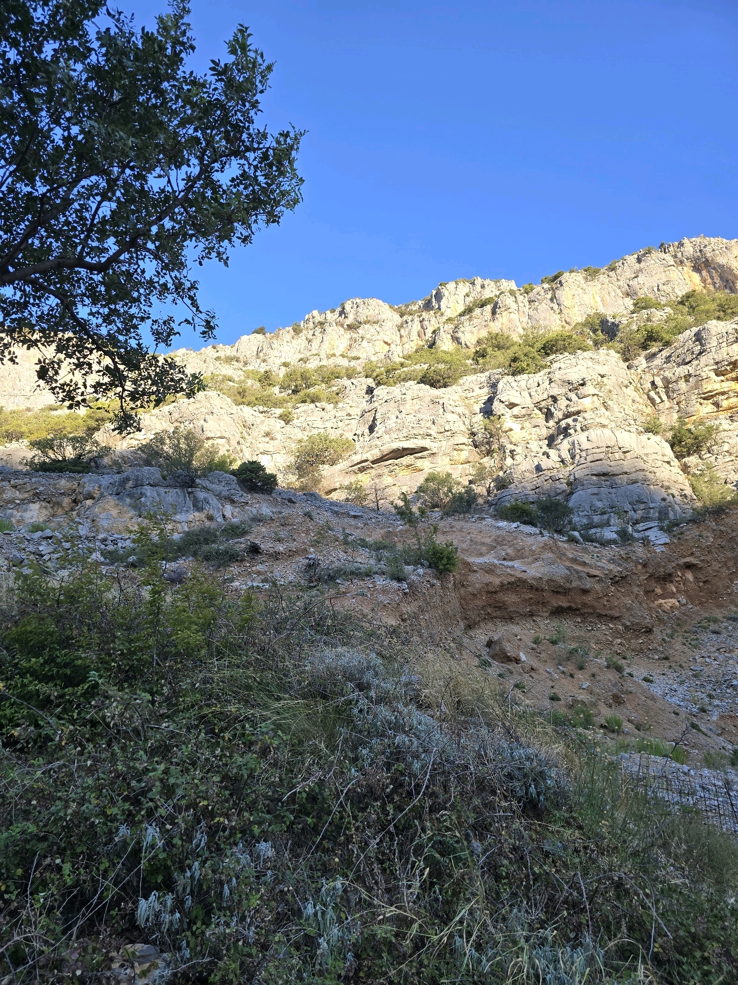 The image depicts a rugged, sun-drenched mountain landscape with a clear blue sky. In the foreground, dense green foliage and dry, thorny bushes dominate the lower portion of the frame. Beyond the vegetation, a steep, rocky incline rises, characterized by layers of stone, scree, and sparse, hardy vegetation clinging to the cliffs. Sunlight illuminates the upper sections of the rock face, casting shadows on the lower parts. The overall impression is one of a wild, natural environment, possibly a canyon or a steep mountainside. The image does not contain any recognizable landmarks or signs that would definitively place it within Podgorica, Montenegro, nor are there any people or animals visible.