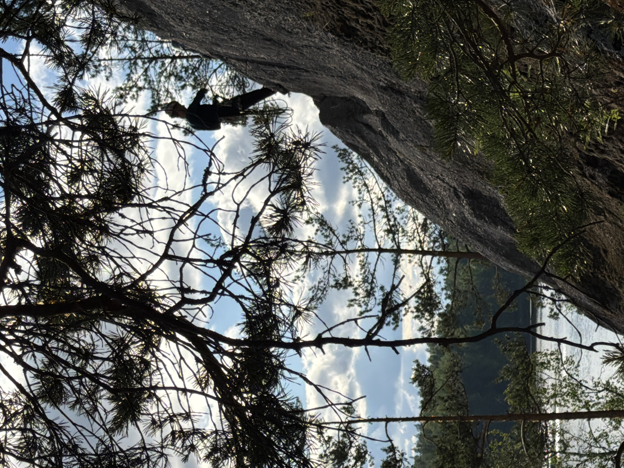 The image depicts a silhouette of a rock climber ascending a steep, grey rock face. The climber, dressed in dark clothing, is positioned on the upper right side of the rock. They are secured by a climbing rope, which is visible as it hangs down and coils slightly around their waist. The climber is facing to the left, appearing to be in the process of moving upwards.
In the foreground, silhouetted pine branches with sharp needles create a dark, framing effect across the upper portion of the image. The branches are dense and create a dappled pattern of light and shadow.
The background reveals a serene natural landscape. Below the rock face and to the left, a body of water, likely a lake or river, is visible. The water reflects the light and appears calm. Beyond the water, a dense forest of evergreen trees stretches across the horizon, indicating a wilderness setting. The sky above is a mix of blue with scattered, soft white clouds, suggesting it is daytime.
The scene is consistent with a natural outdoor climbing location. While the specific city of Ruch'i, Russia is mentioned in the prompt, the visual information in the image alone does not provide any direct evidence to confirm this location. However, the presence of a lake, extensive forest, and rocky terrain is characteristic of many natural areas found in Russia.